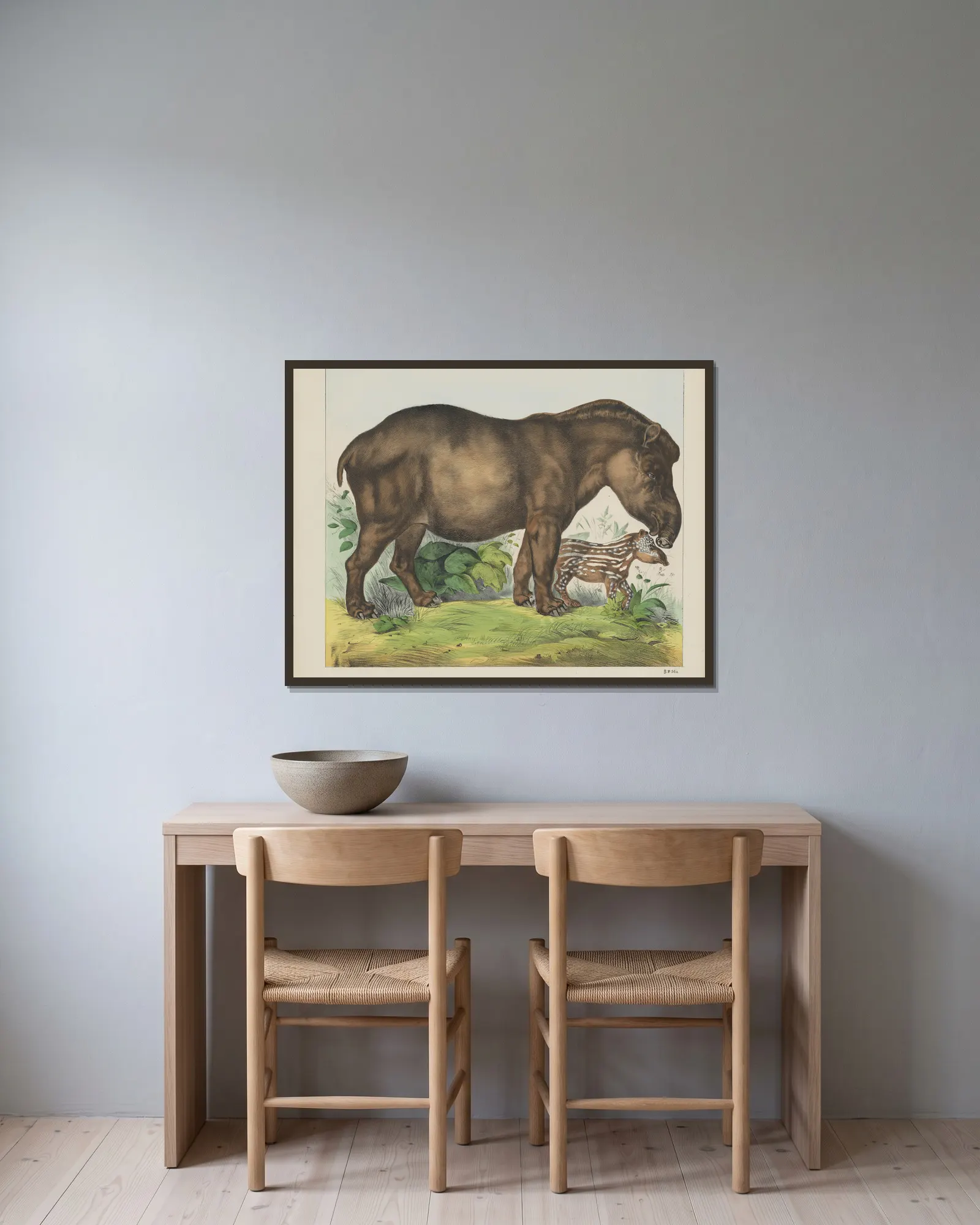 Tapir av Joseph Scholz inramad på en vägg