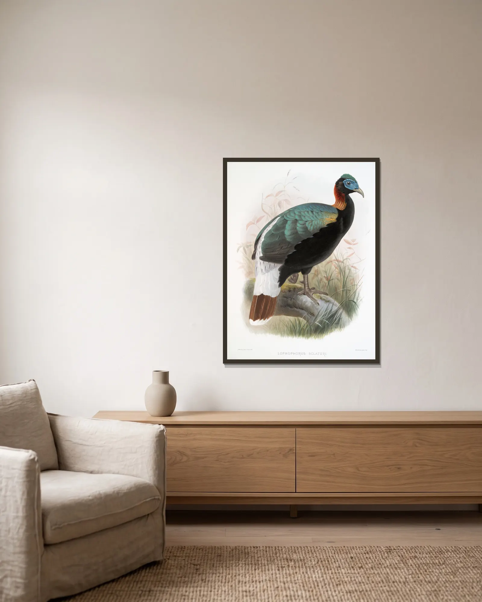 Lophophorus Sclateri. av Joseph Smit inramad på en vägg