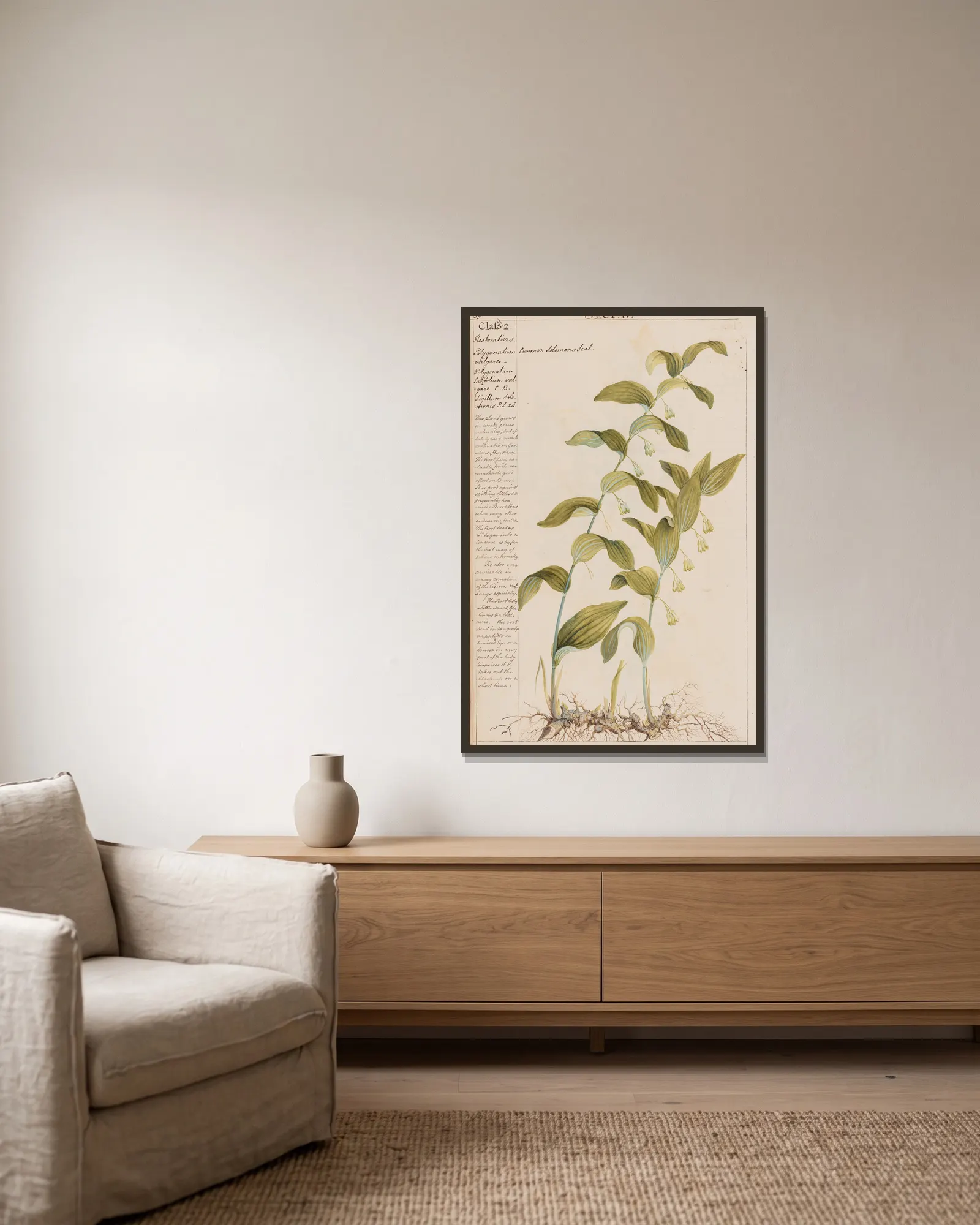 Common Solomon’s Seal av Joshua Webster inramad på en vägg