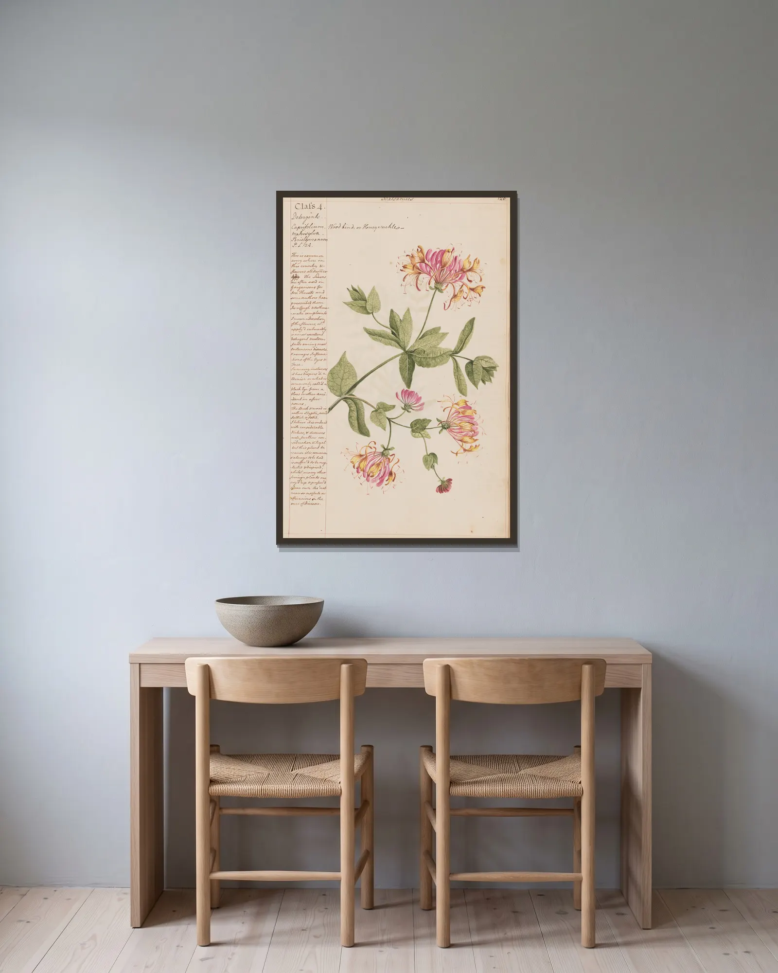Wood bind or Honeysuckle av Joshua Webster inramad på en vägg