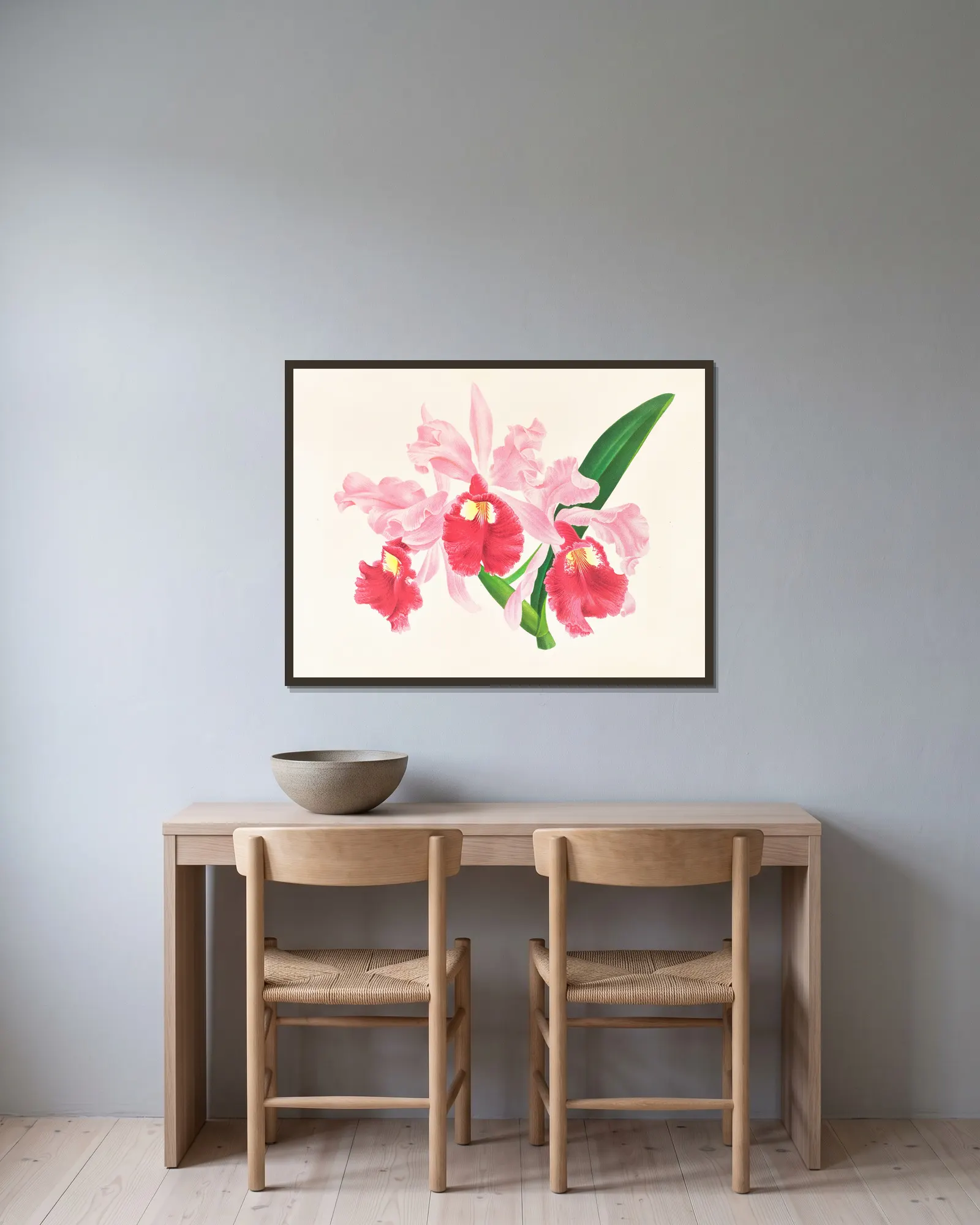 Cattleya gigas av Jean Jules Linden inramad på en vägg