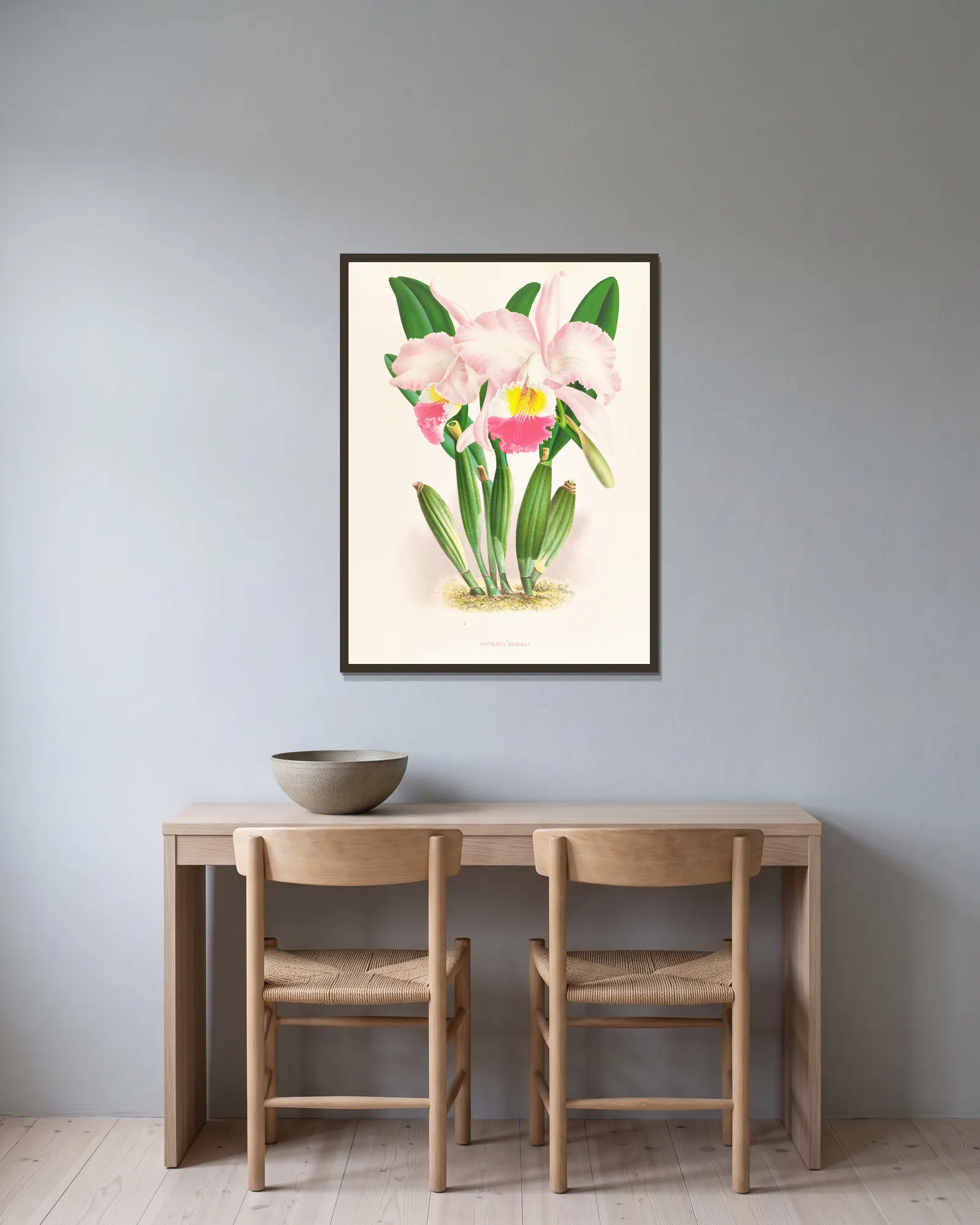 Cattleya Mendeli av Jean Jules Linden inramad på en vägg