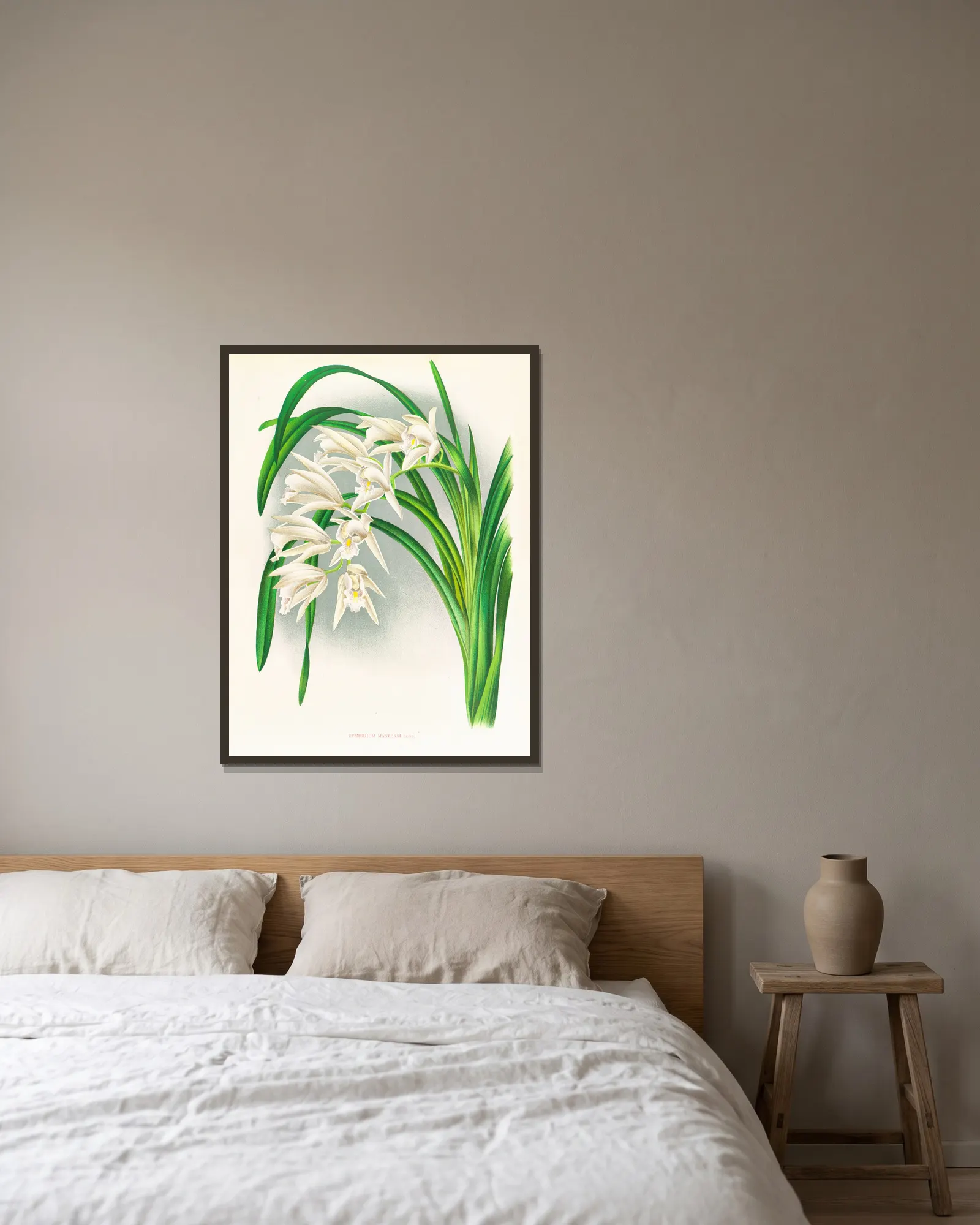Cymbidium mastersi av Jean Jules Linden inramad på en vägg