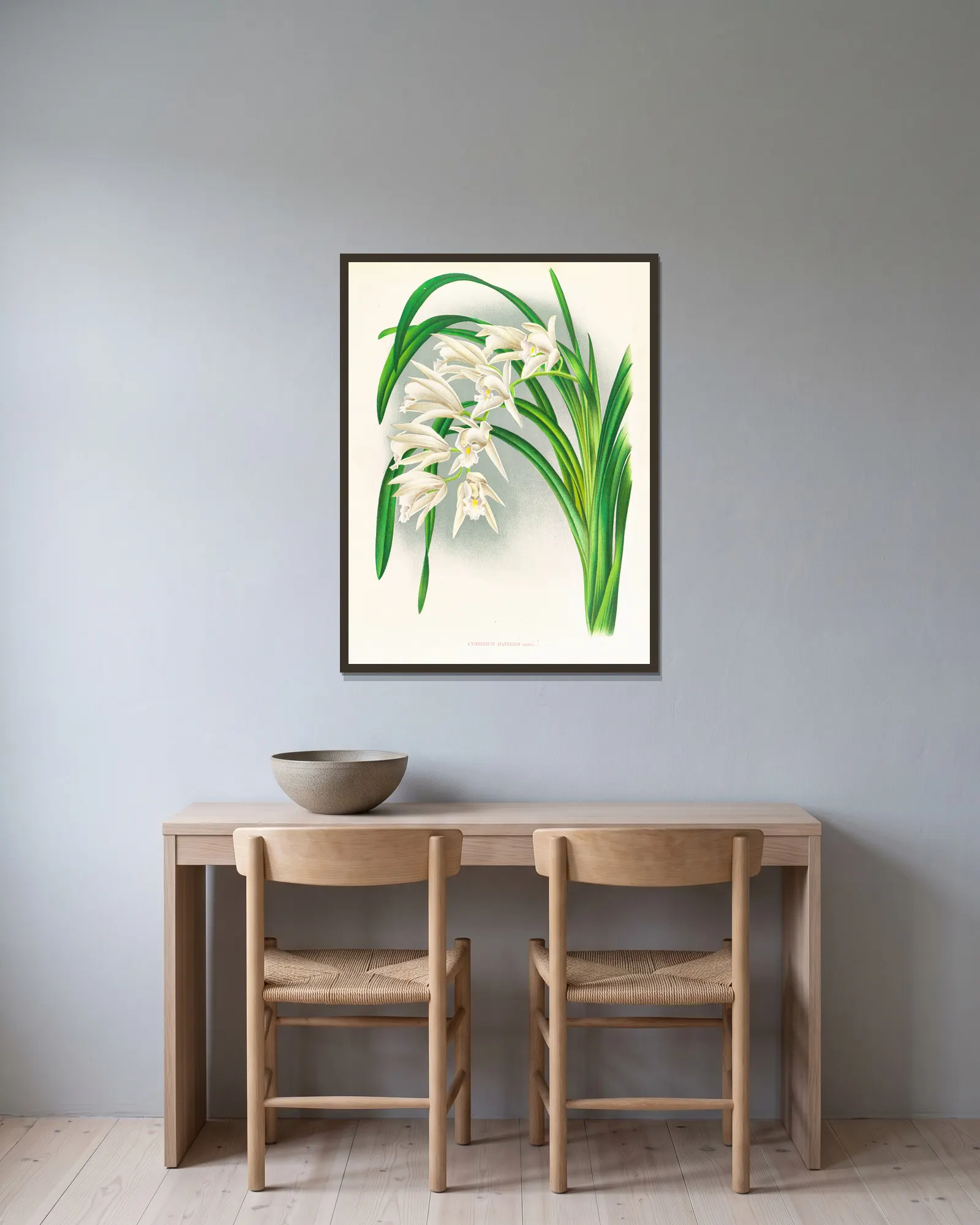 Cymbidium mastersi av Jean Jules Linden inramad på en vägg
