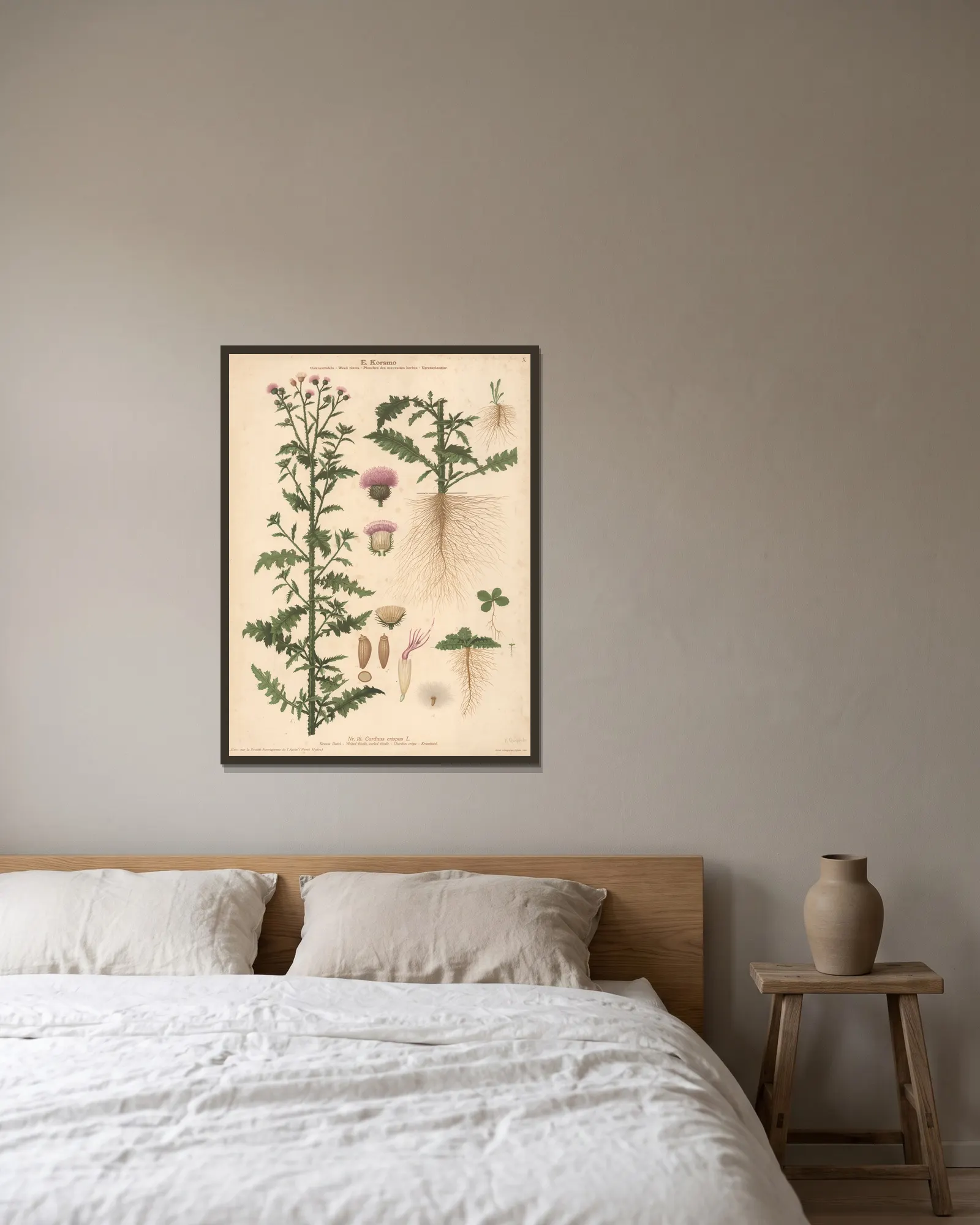 Welted thistle, Curled thistle av Knut Quelprud inramad på en vägg