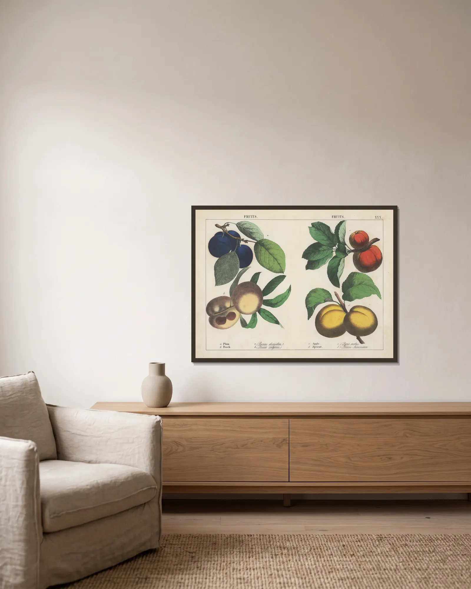Fruits (Plum, Peach, Apple, Apricot) av Charlotte Mary Yonge inramad på en vägg