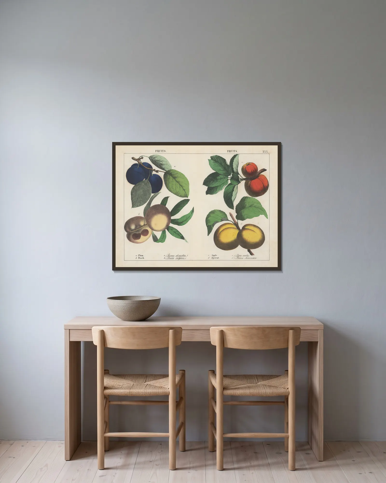 Fruits (Plum, Peach, Apple, Apricot) av Charlotte Mary Yonge inramad på en vägg