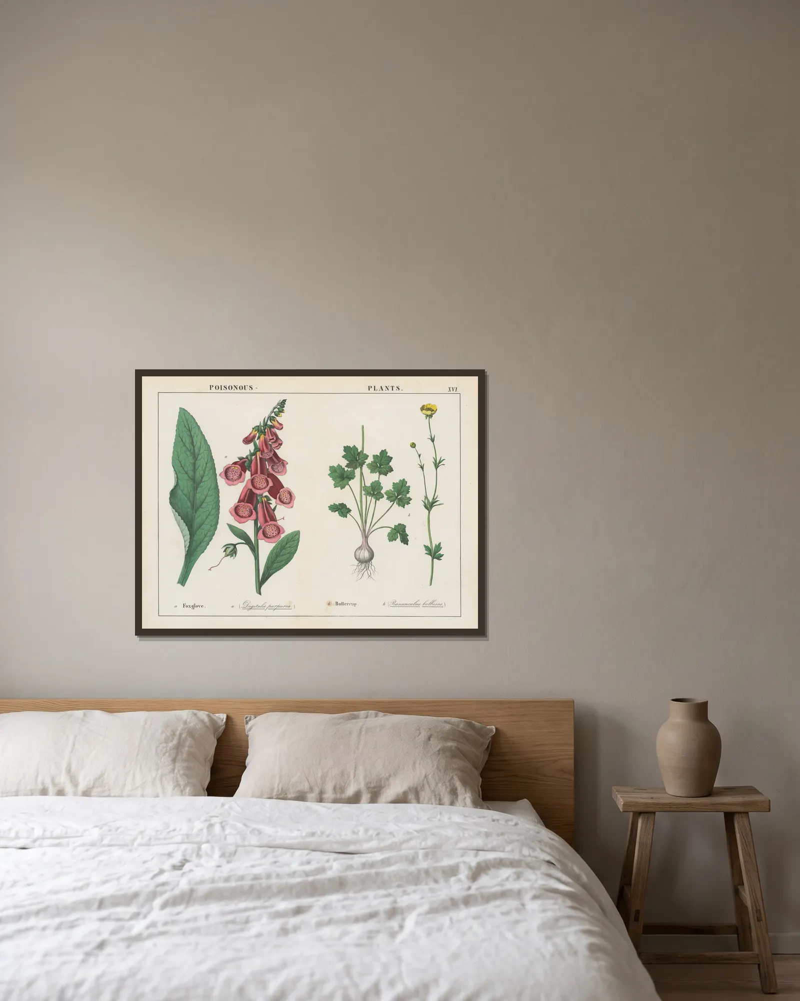Poisonous Plants (Foxglove, Buttercup), 1858 – nr 9 av Charlotte Mary Yonge inramad på en vägg