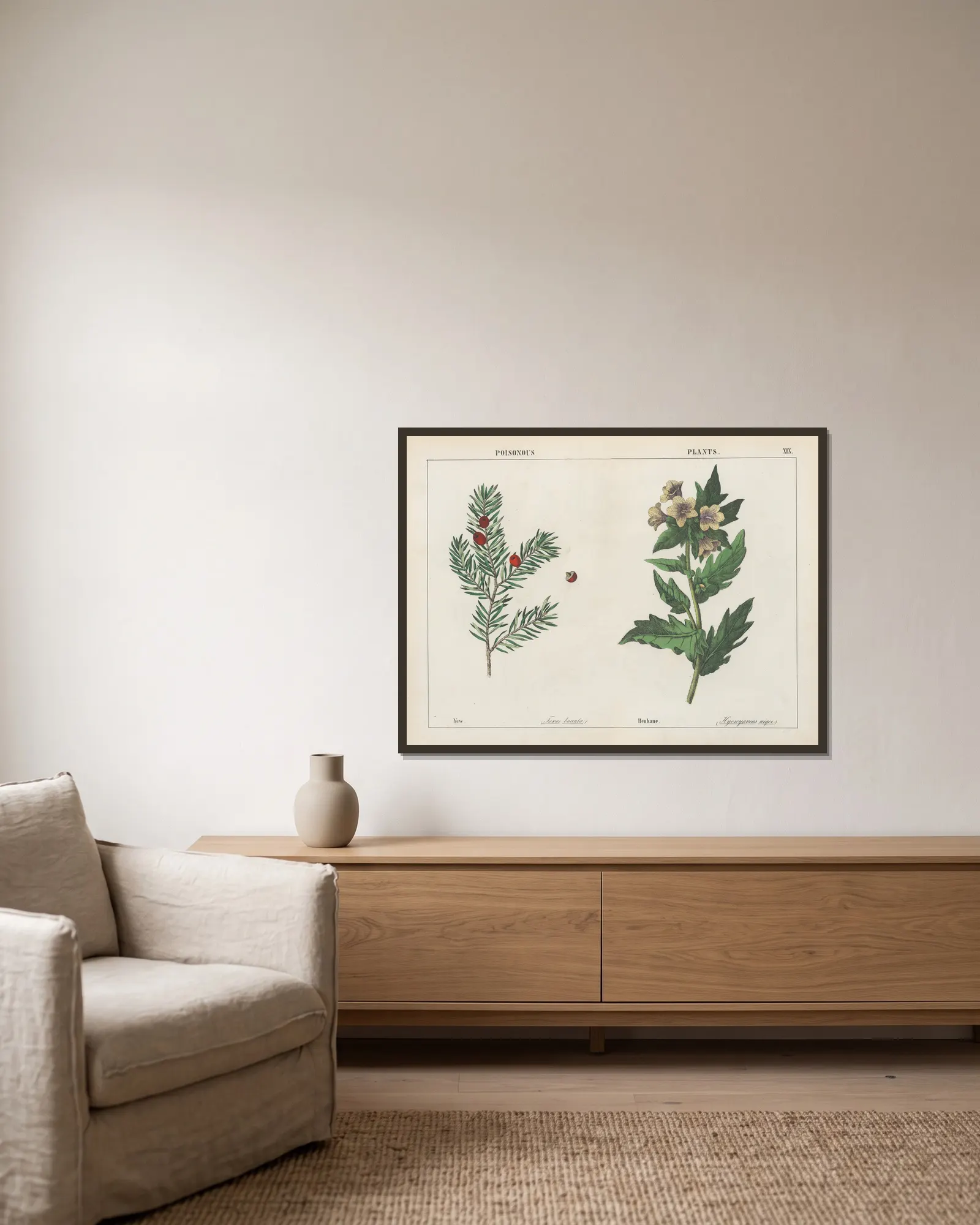 Poisonous Plants (Yew, Henbane), 1858 – nr 1 av Charlotte Mary Yonge inramad på en vägg