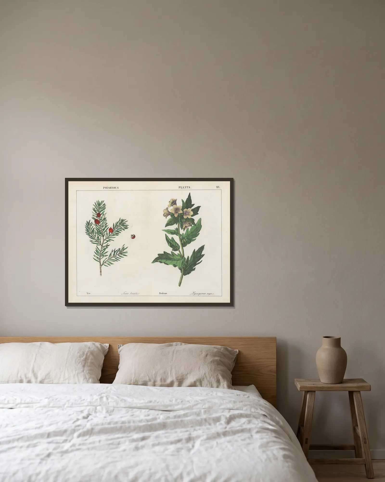 Poisonous Plants (Yew, Henbane), 1858 – nr 1 av Charlotte Mary Yonge inramad på en vägg
