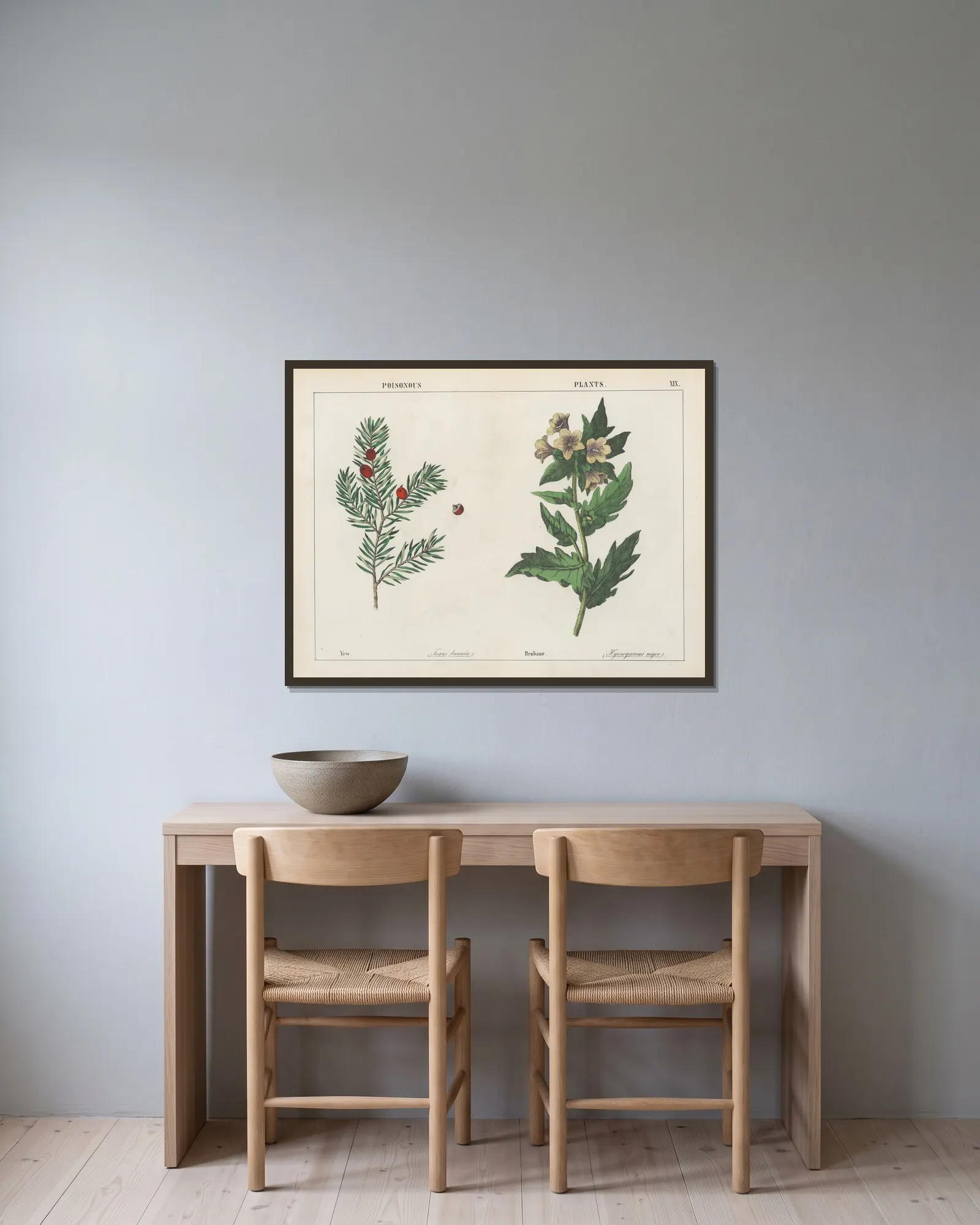 Poisonous Plants (Yew, Henbane), 1858 – nr 1 av Charlotte Mary Yonge inramad på en vägg
