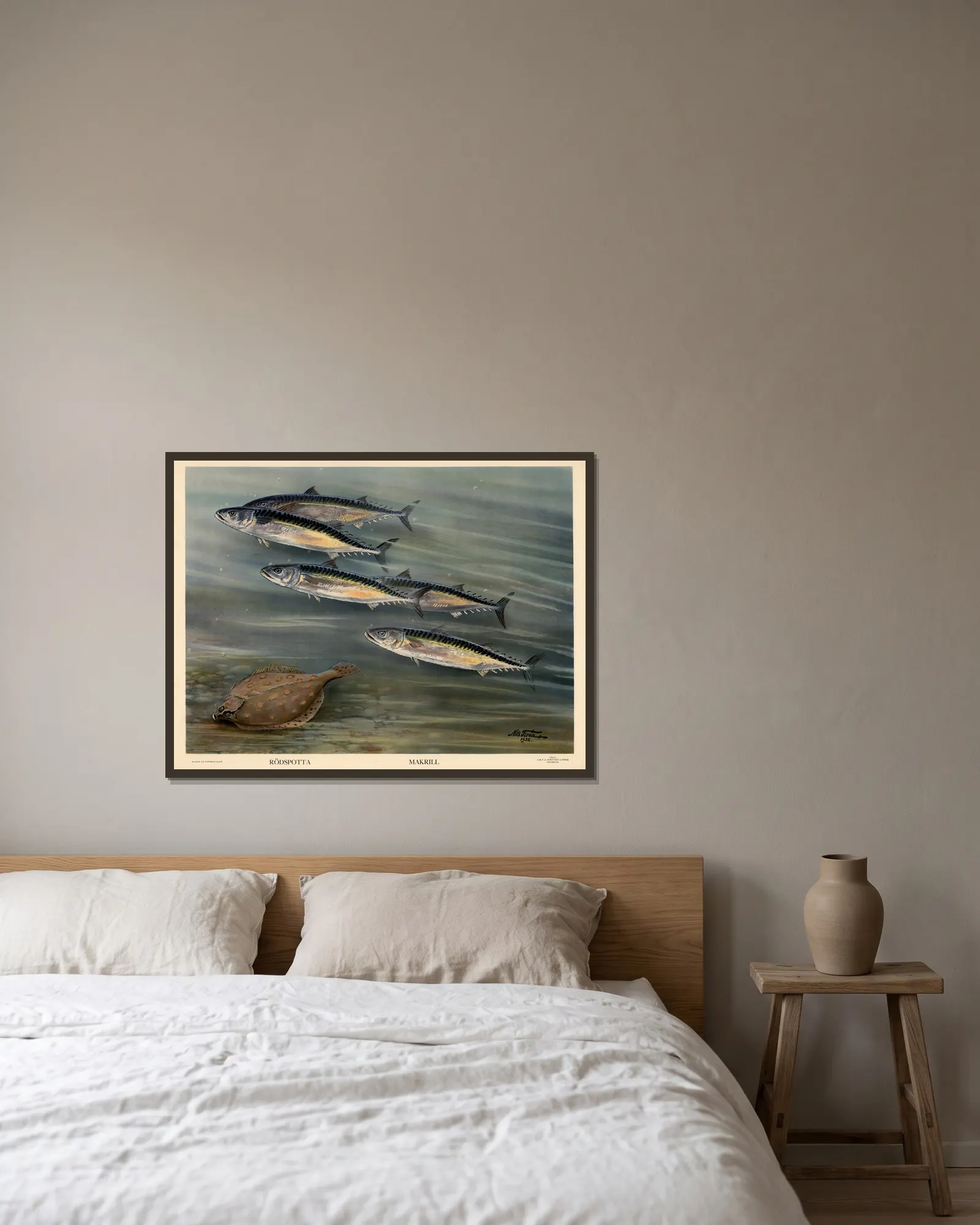 Rödspotta. Makrill. av Nils Tirén inramad på en vägg