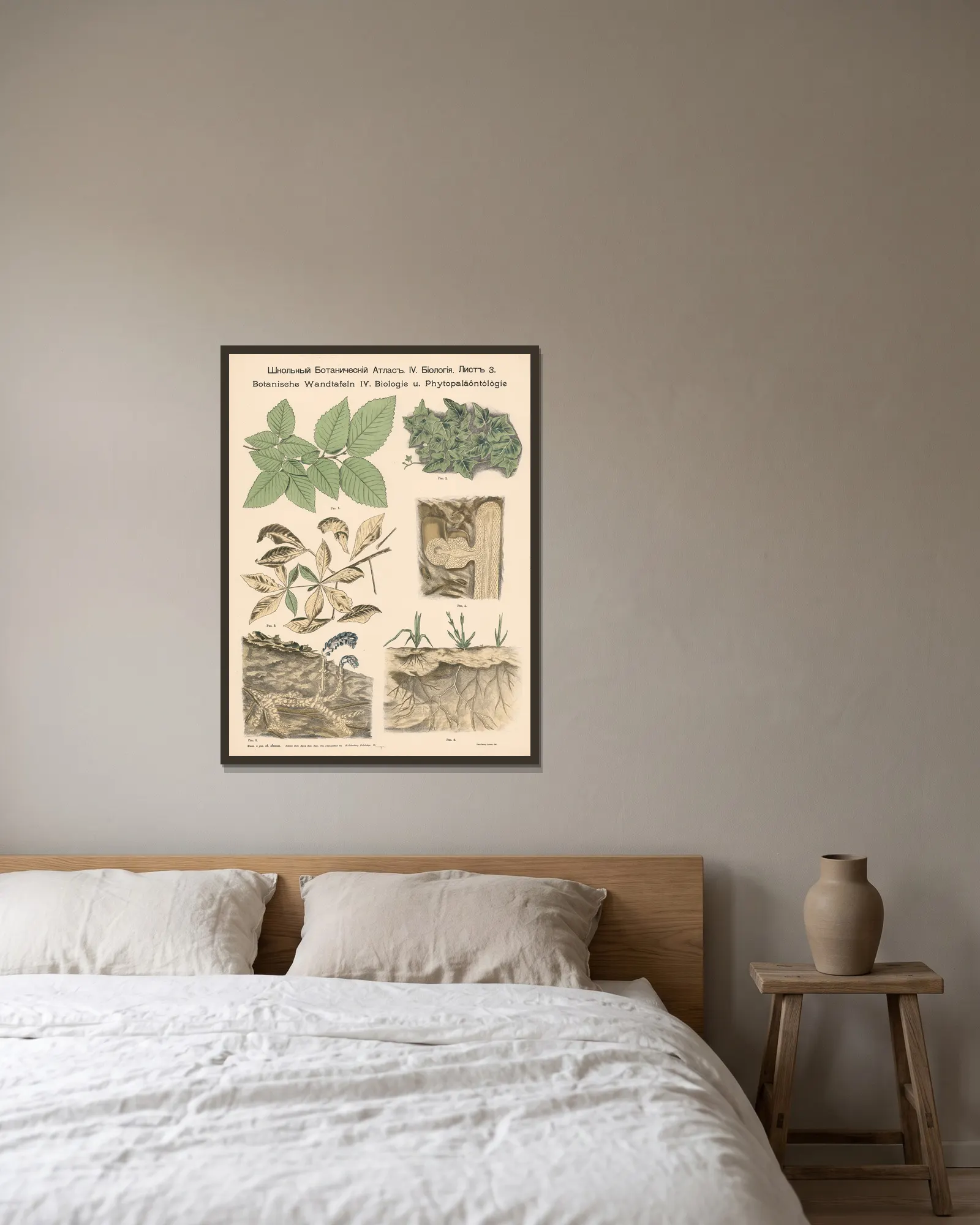 Creeping plants av Alexander-Paul Henckel inramad på en vägg