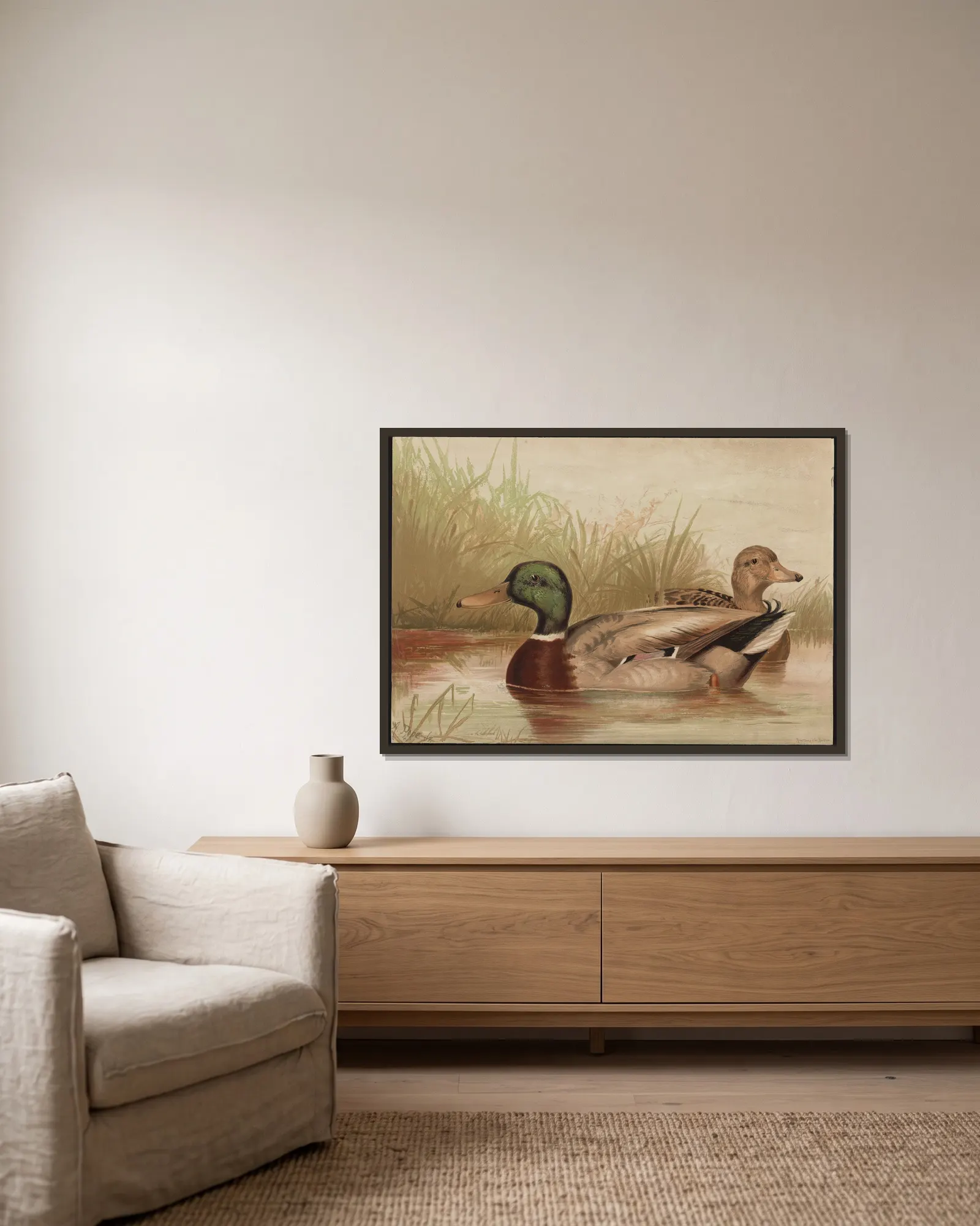 The mallard duck (Anas boschas) av Alexander Pope Jr. inramad på en vägg