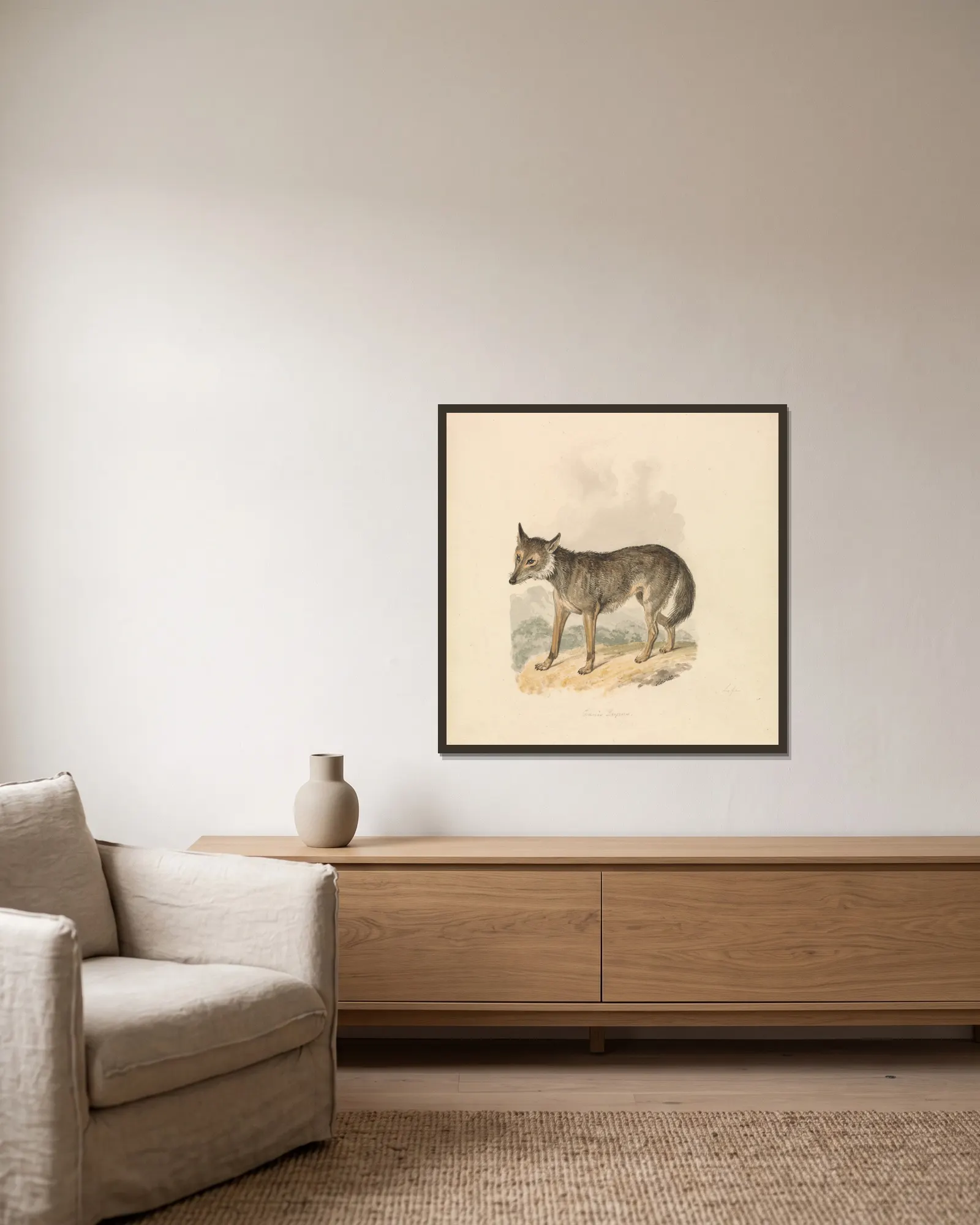 Canis Lupus, or Gray Wolf av Samuel Howitt inramad på en vägg