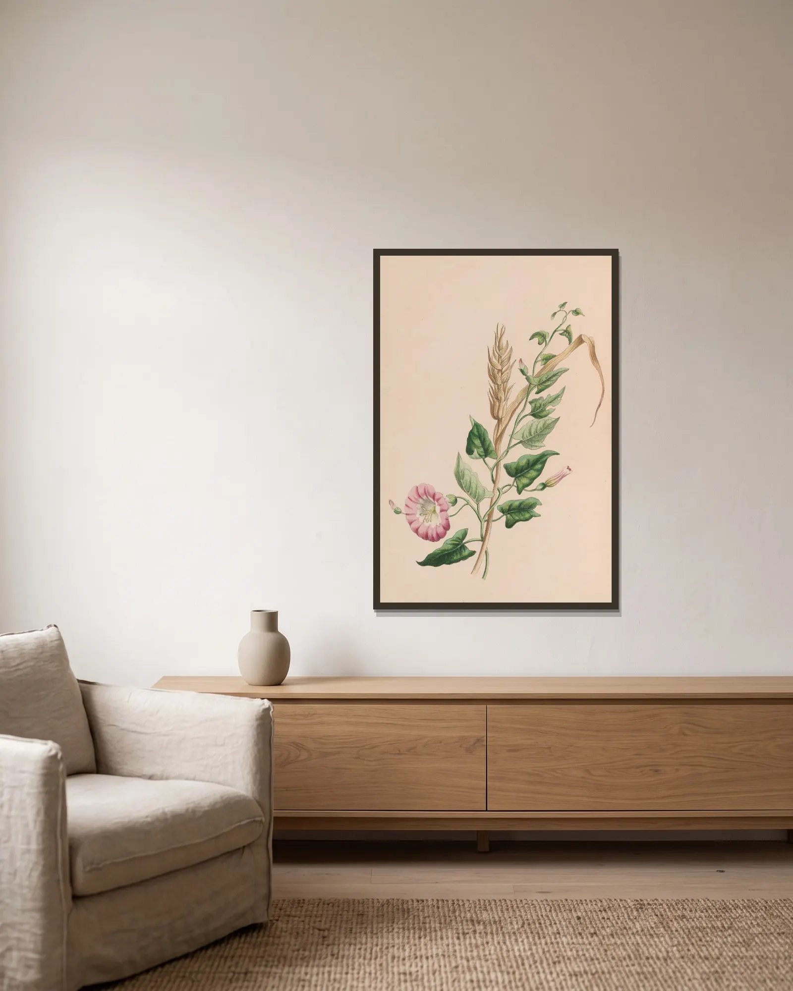 Geranium av John Stevens Henslow inramad på en vägg