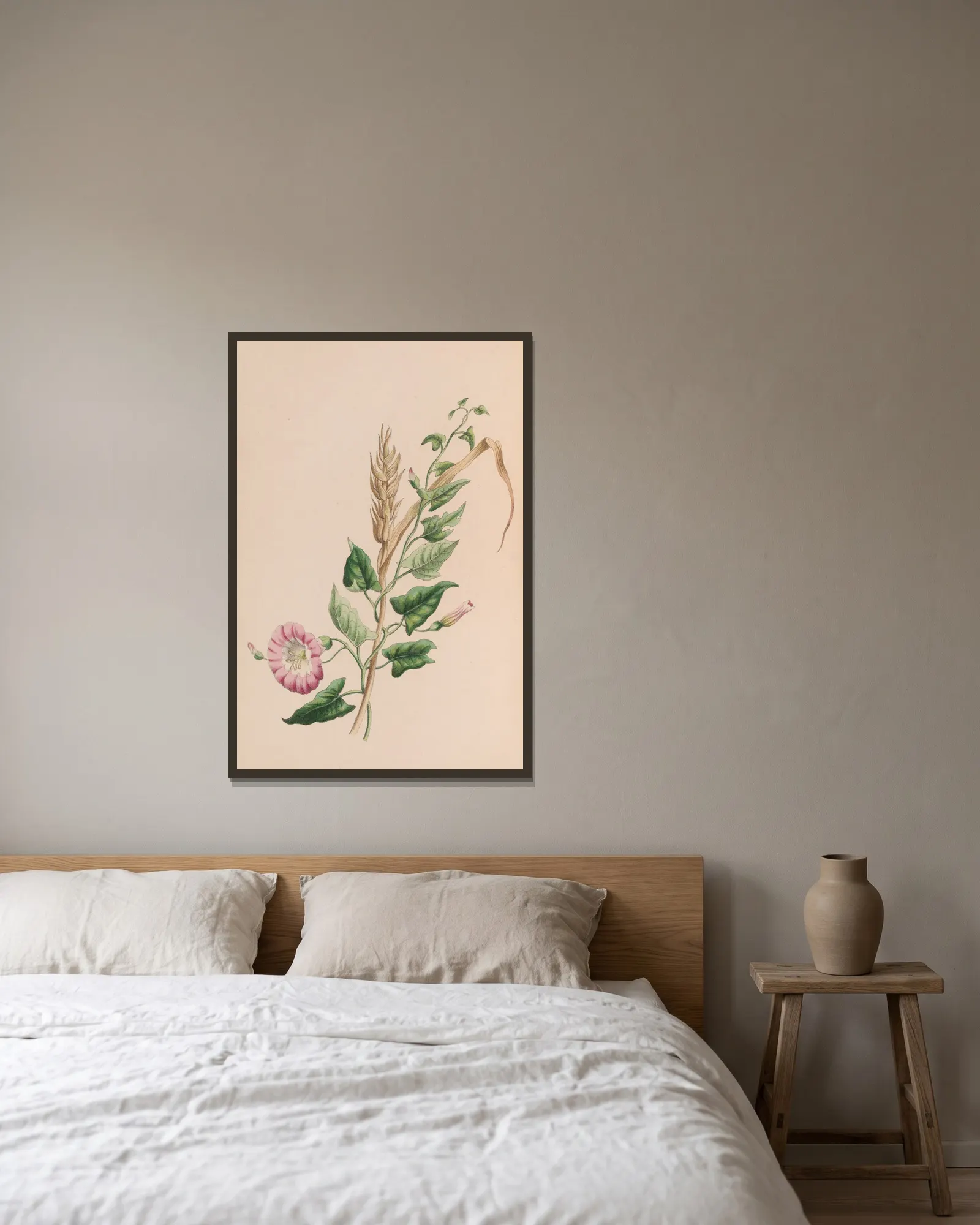 Geranium av John Stevens Henslow inramad på en vägg