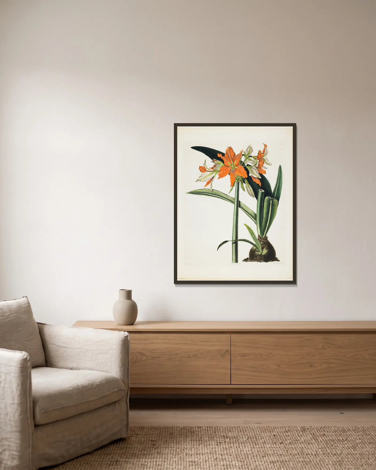 Amaryllis fulgida (Striped-tubed Amaryllis), 1831 av Priscilla Susan Bury inramad på en vägg