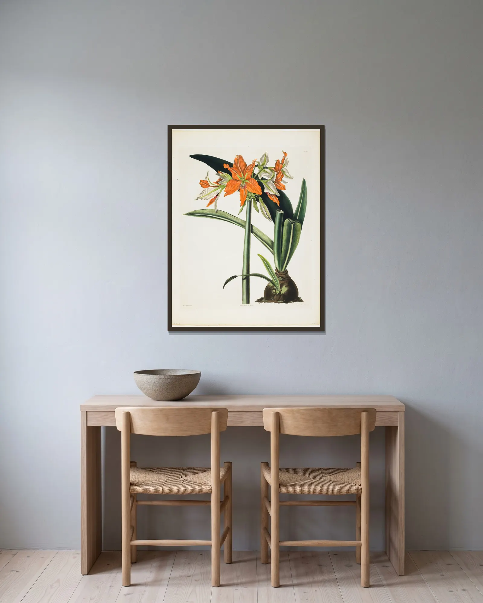 Amaryllis fulgida (Striped-tubed Amaryllis), 1831 av Priscilla Susan Bury inramad på en vägg