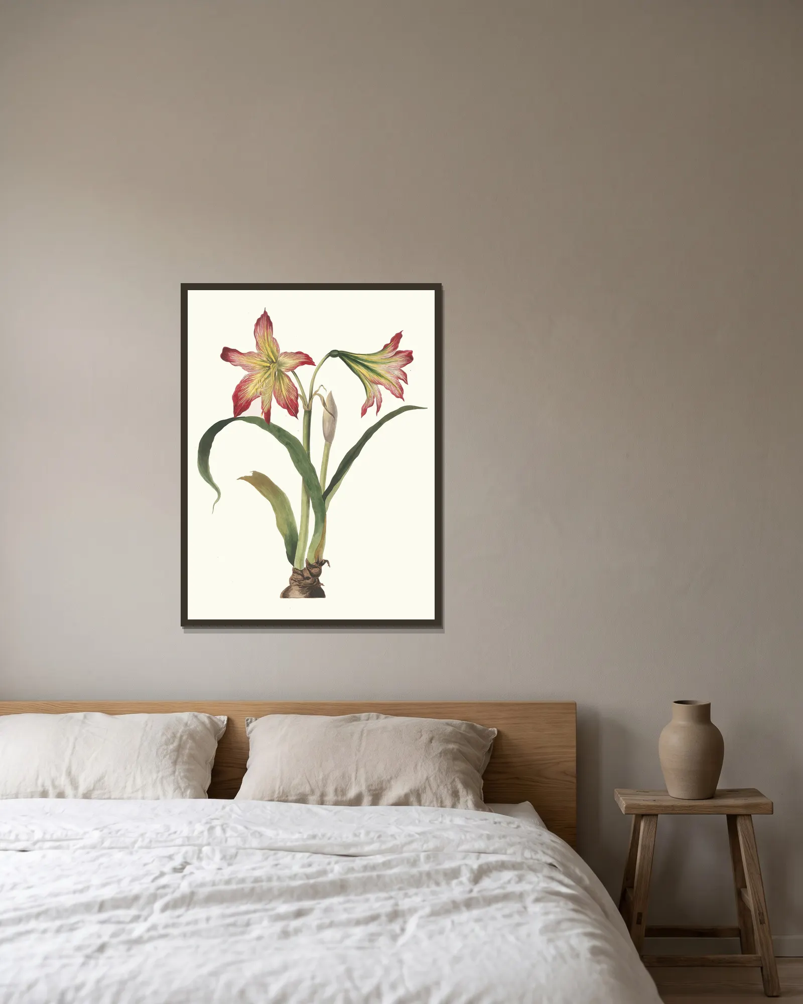 Amaryllis Psittacina av Priscilla Susan Bury inramad på en vägg