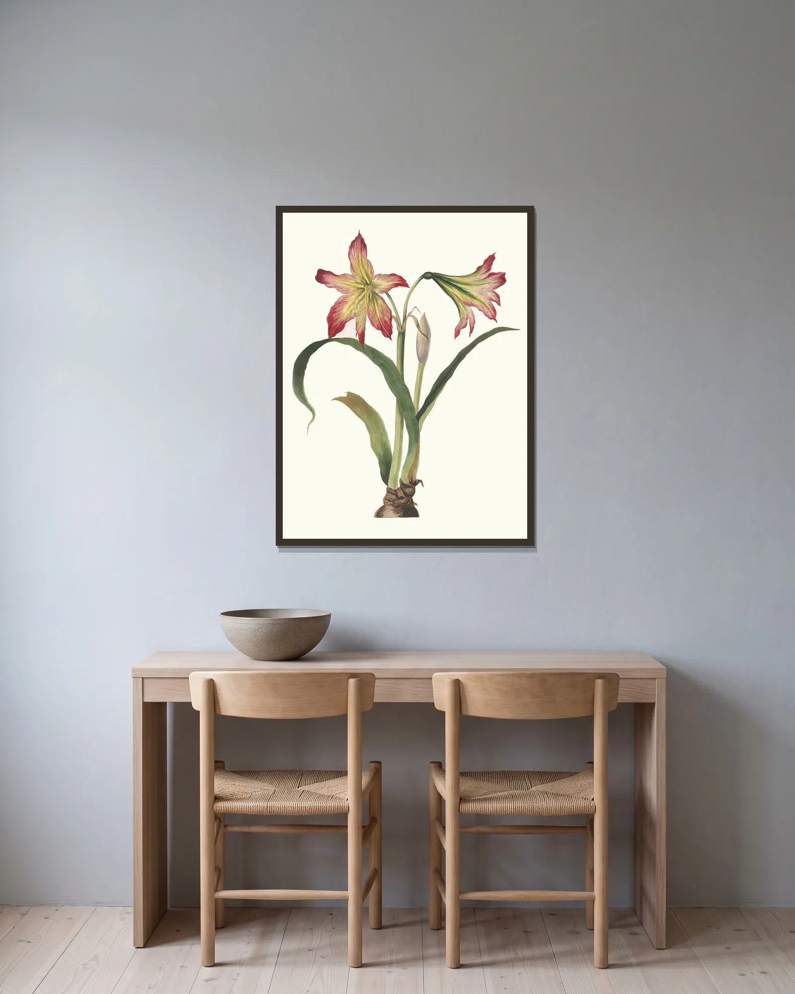Amaryllis Psittacina av Priscilla Susan Bury inramad på en vägg