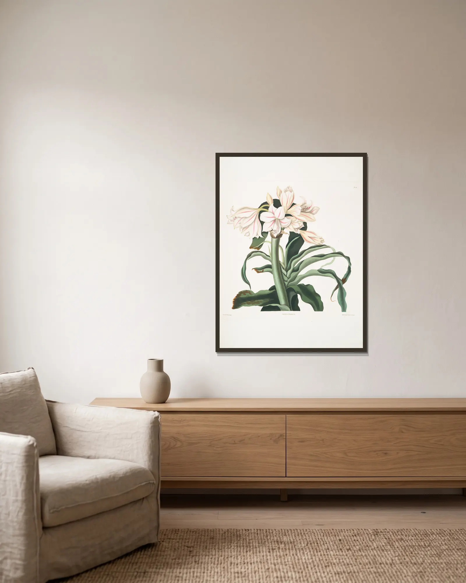 Crinum scabrum av Priscilla Susan Bury inramad på en vägg