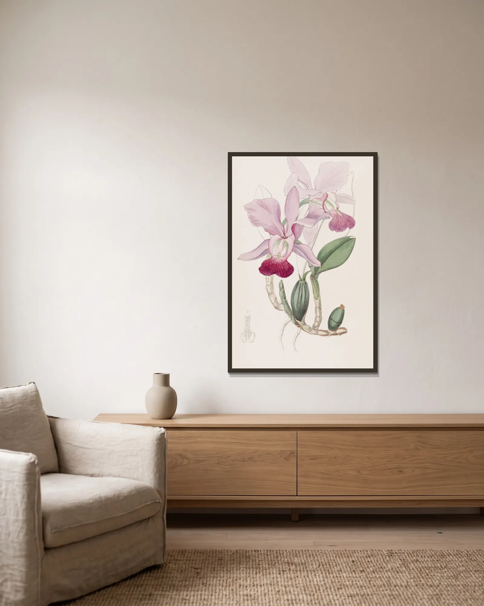 Bulbous Cattleya av Sydenham Edwards inramad på en vägg
