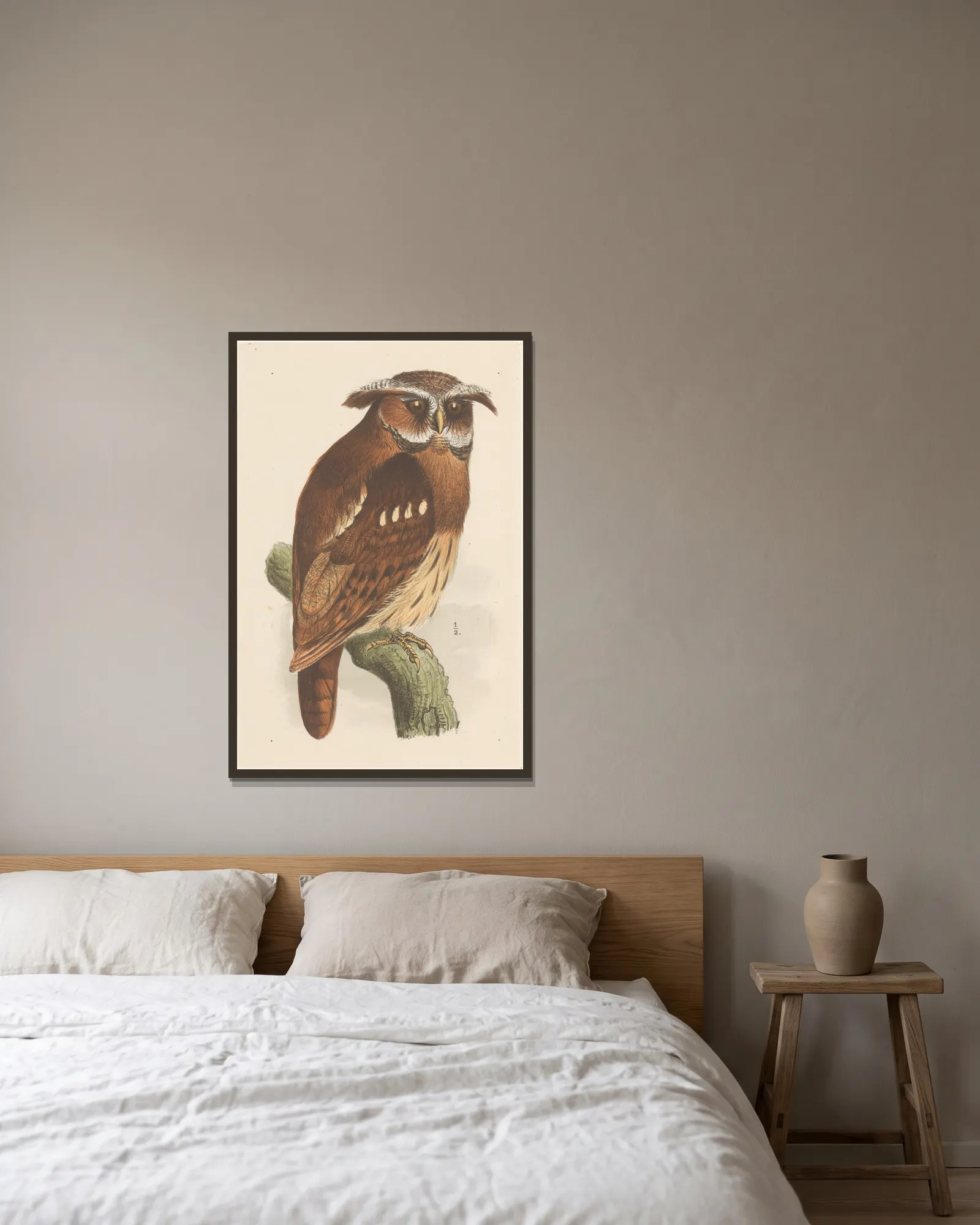 Owl On A Branch (Bubo Lettii) av Theo van Hoytema inramad på en vägg