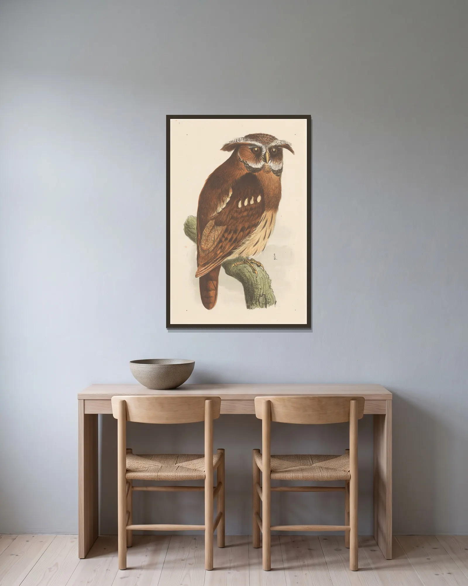 Owl On A Branch (Bubo Lettii) av Theo van Hoytema inramad på en vägg