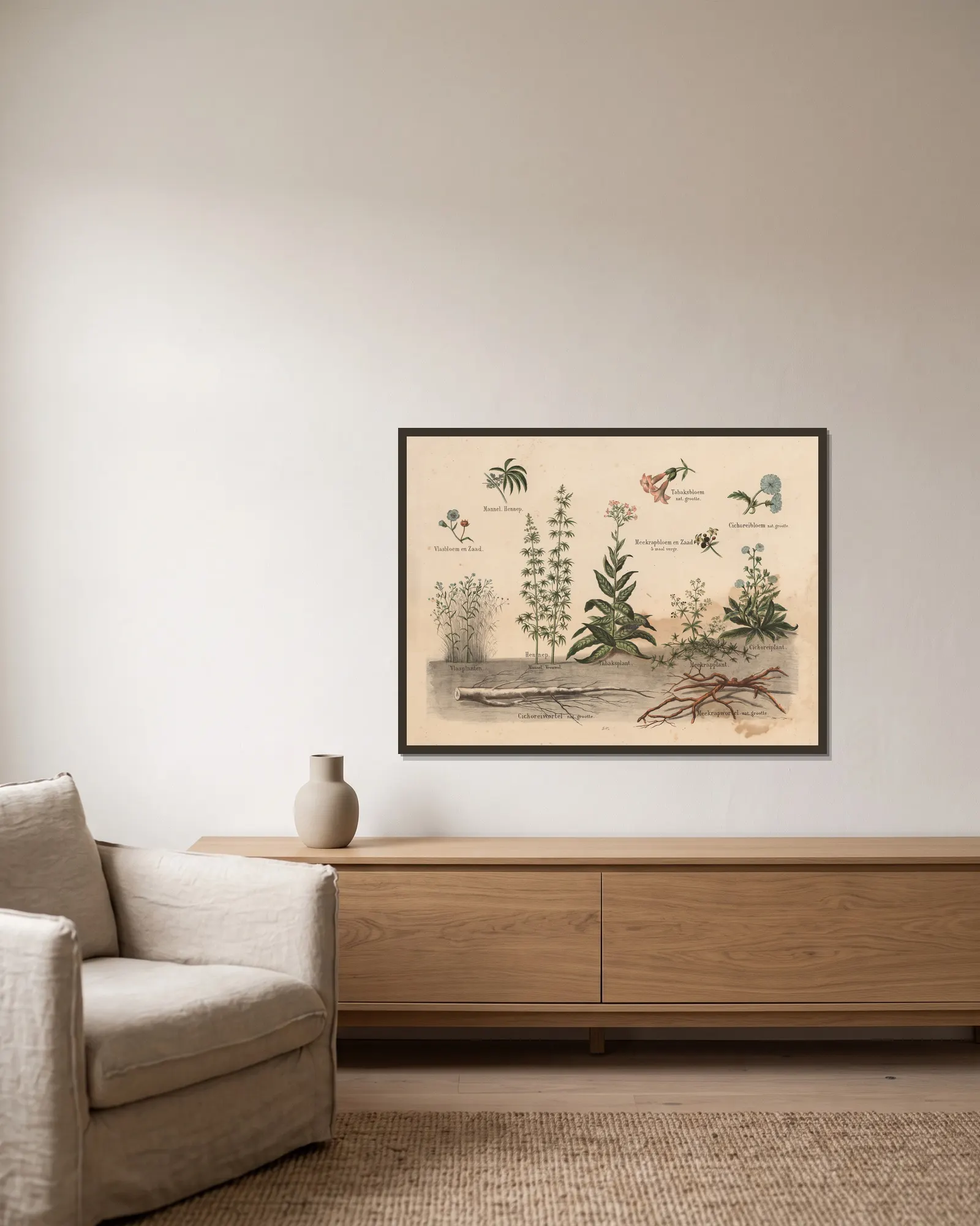 Various plants av Hendrik Jan van Lummel inramad på en vägg