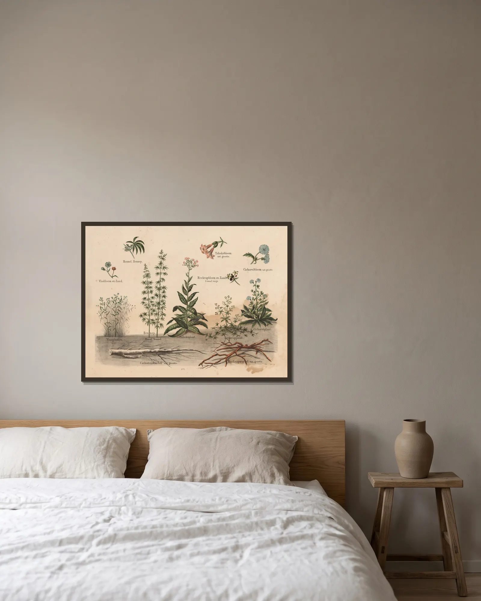 Various plants av Hendrik Jan van Lummel inramad på en vägg