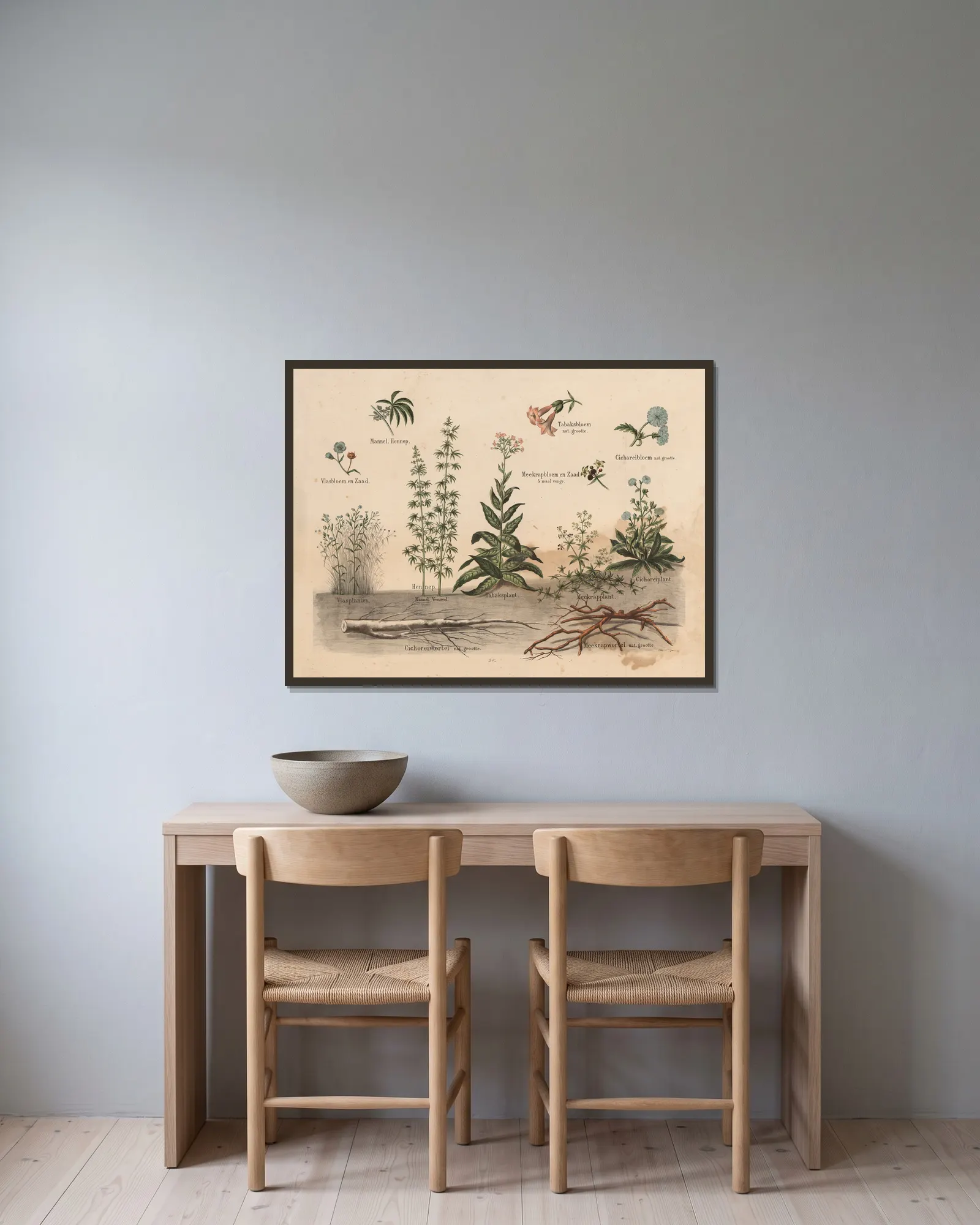 Various plants av Hendrik Jan van Lummel inramad på en vägg