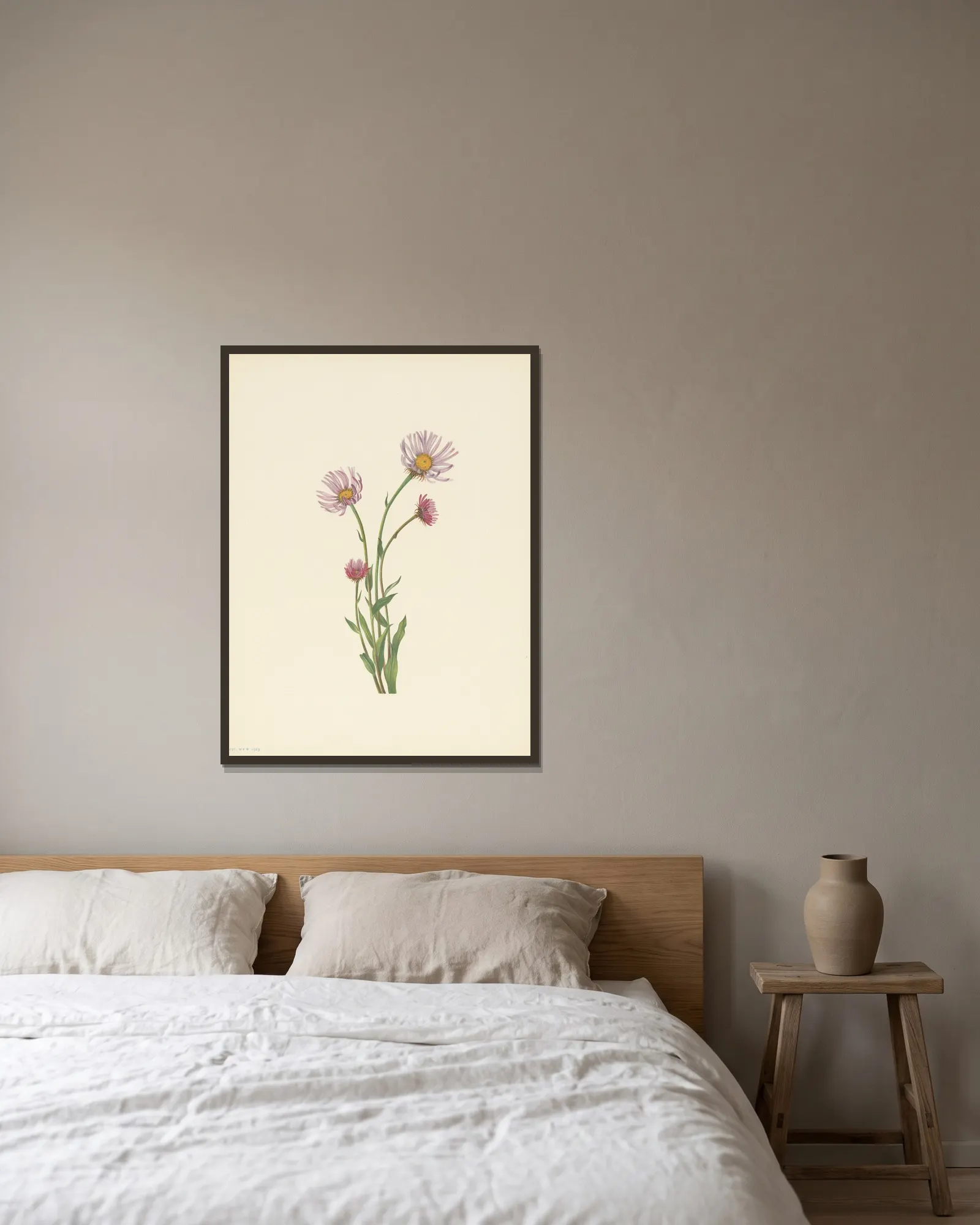 Alaska Fleabane (Erigeron salsuginosus) av Mary Vaux Walcott inramad på en vägg