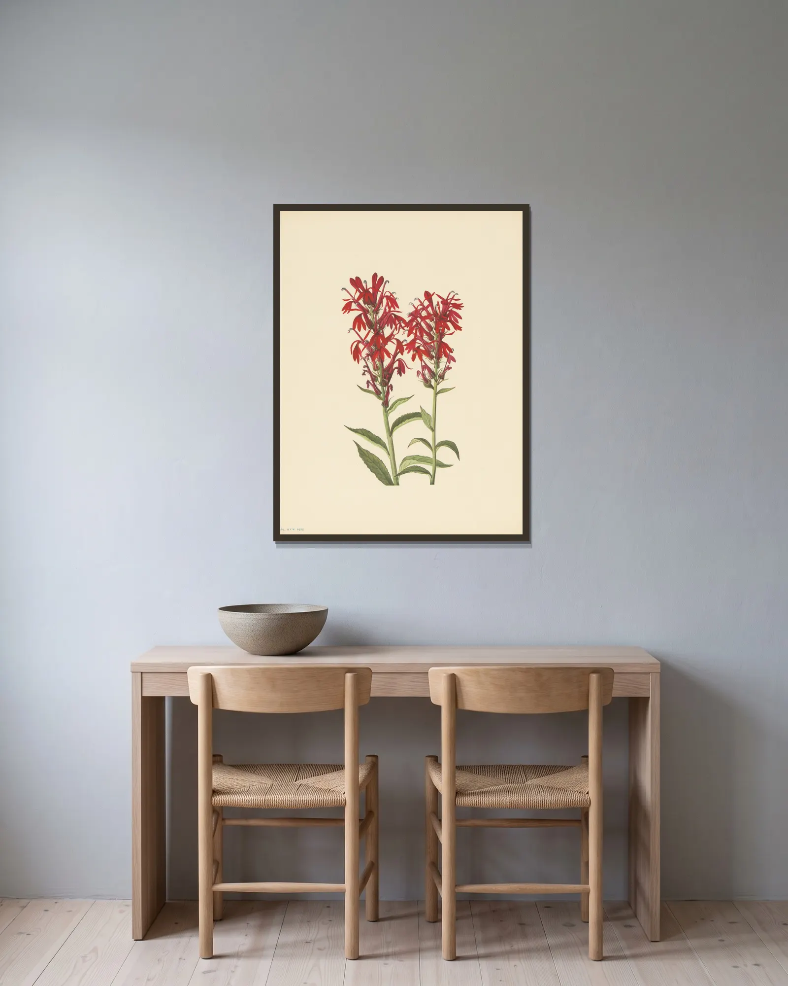 Cardinalflower (Lobelia cardinalis) av Mary Vaux Walcott inramad på en vägg