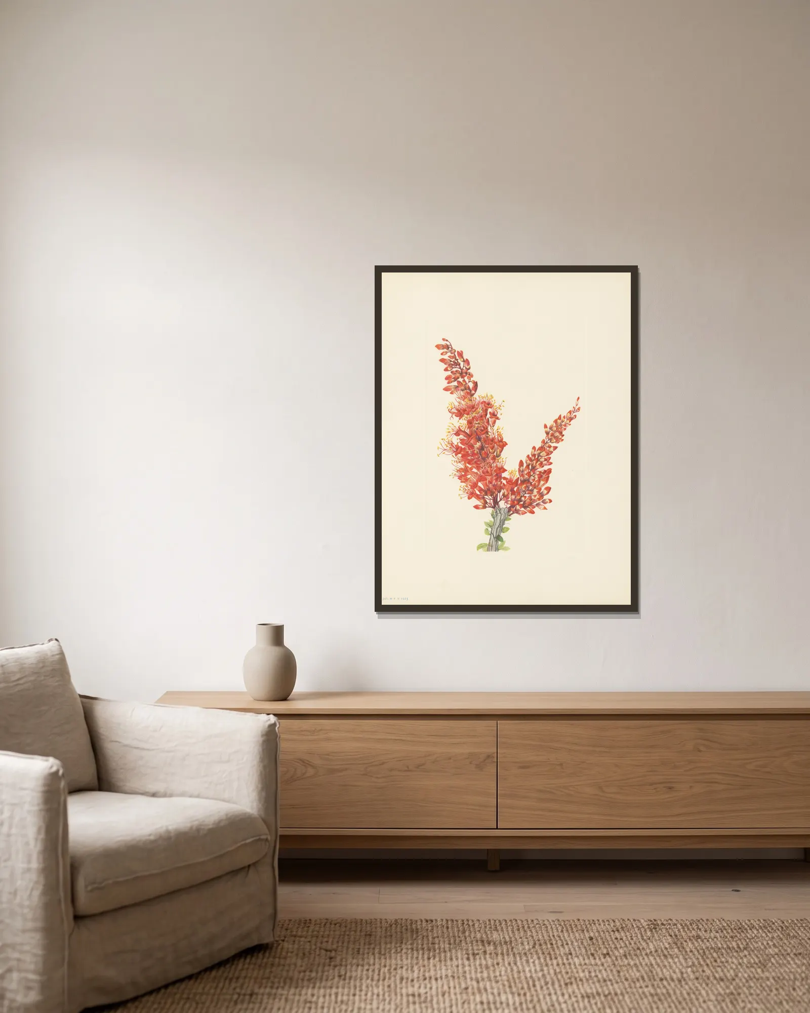 Ocotillo (Fouquieria splendens) av Mary Vaux Walcott inramad på en vägg