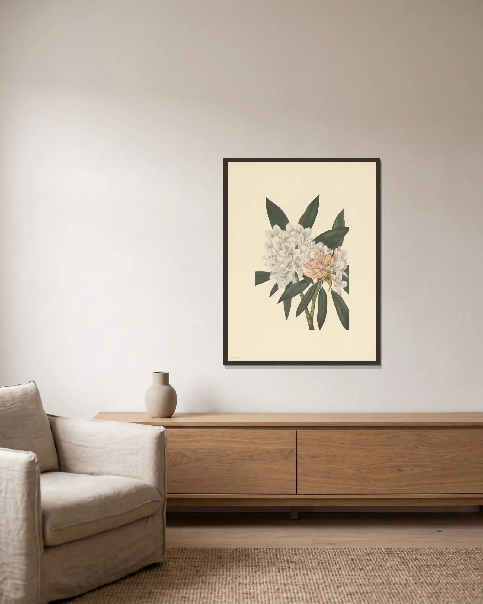 Rosebay Rhododendron (Rhododendron maximum) av Mary Vaux Walcott inramad på en vägg