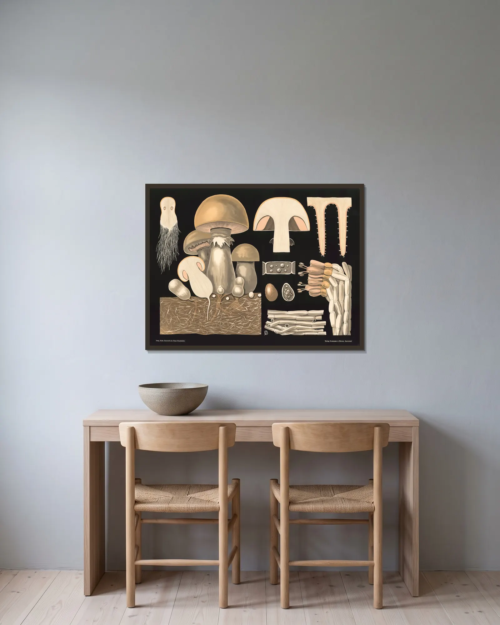 Mushroom (Agaricus campestris) av Gottlieb von Koch inramad på en vägg