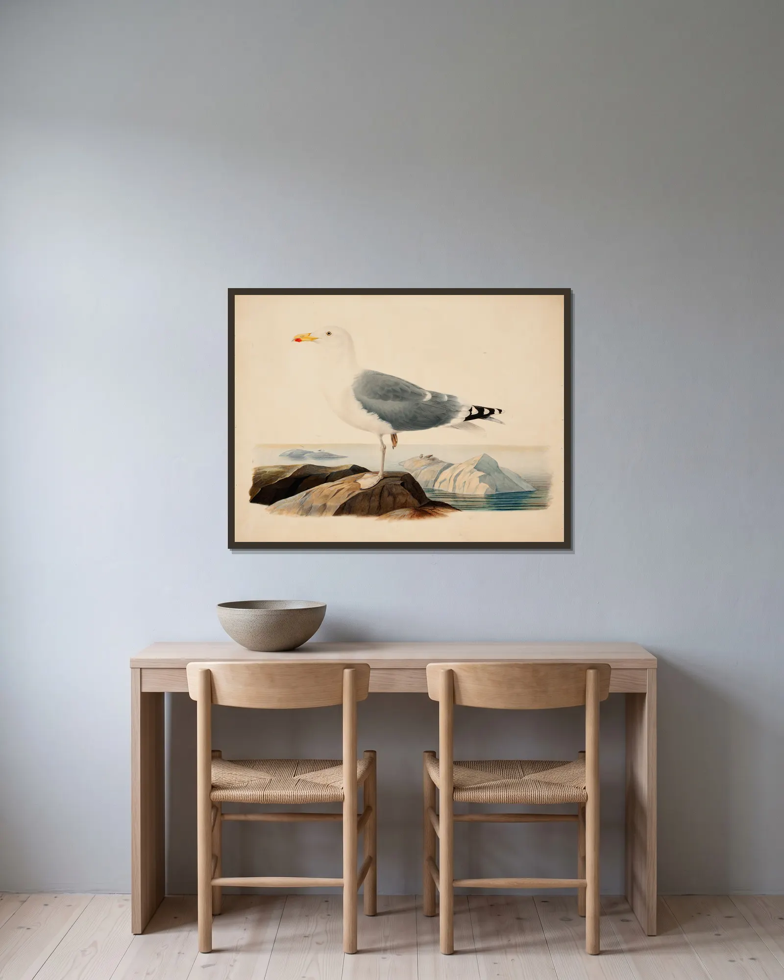 European Herring Gull av Ferdinand von Wright inramad på en vägg