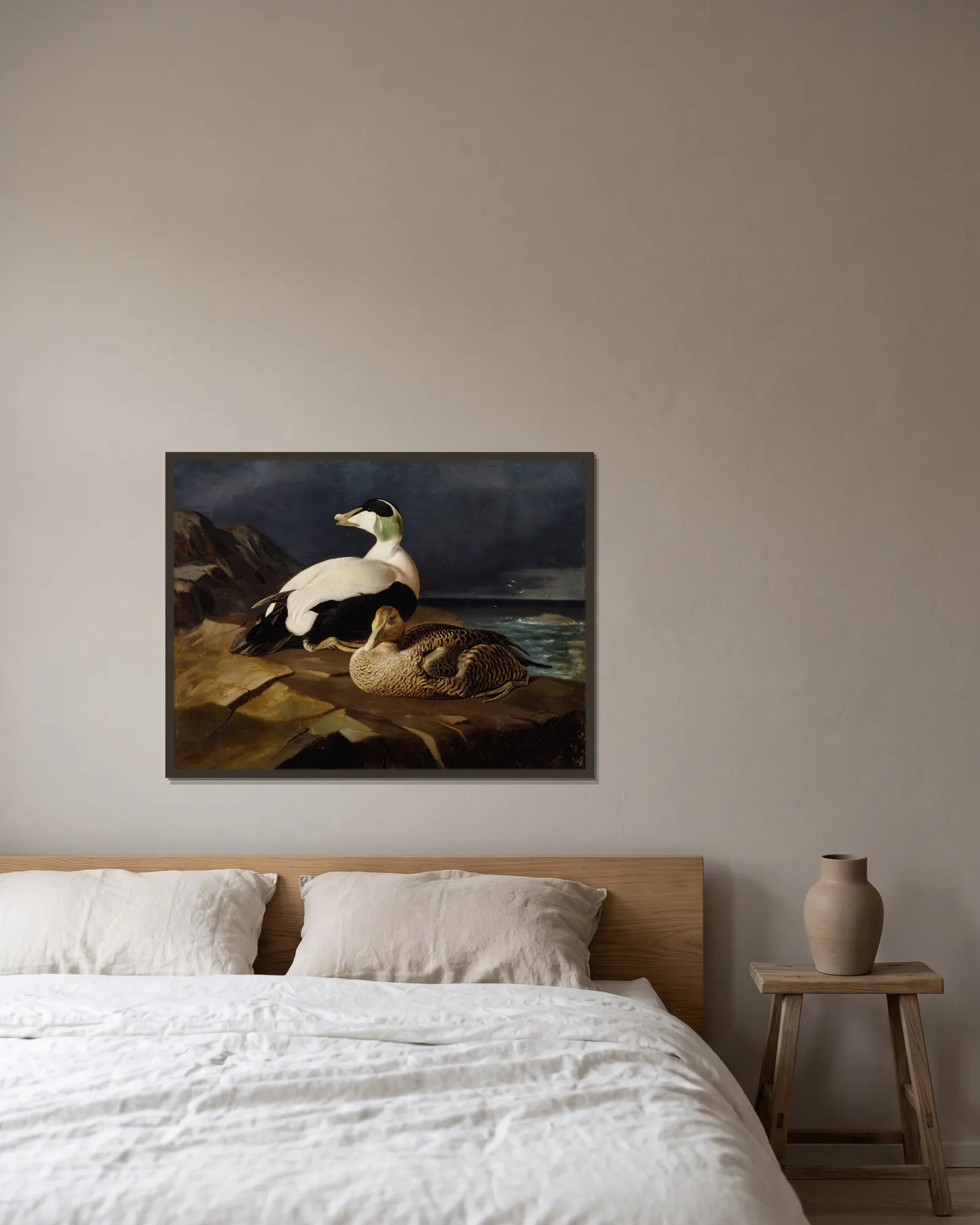 Pair Of Common Eiders On A Rock av Ferdinand von Wright inramad på en vägg