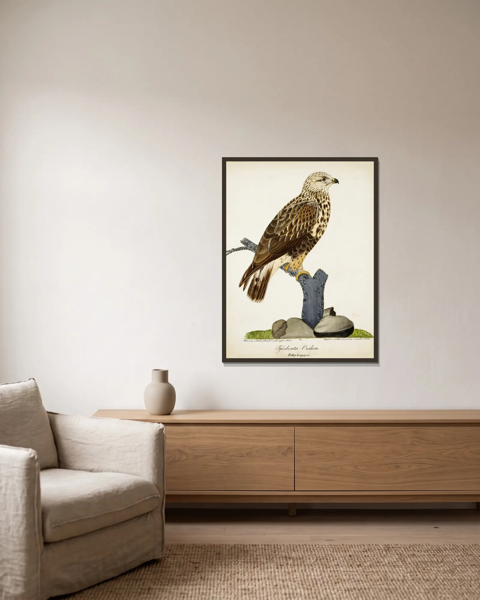 Rough-Legged Buzzard av Ferdinand von Wright inramad på en vägg