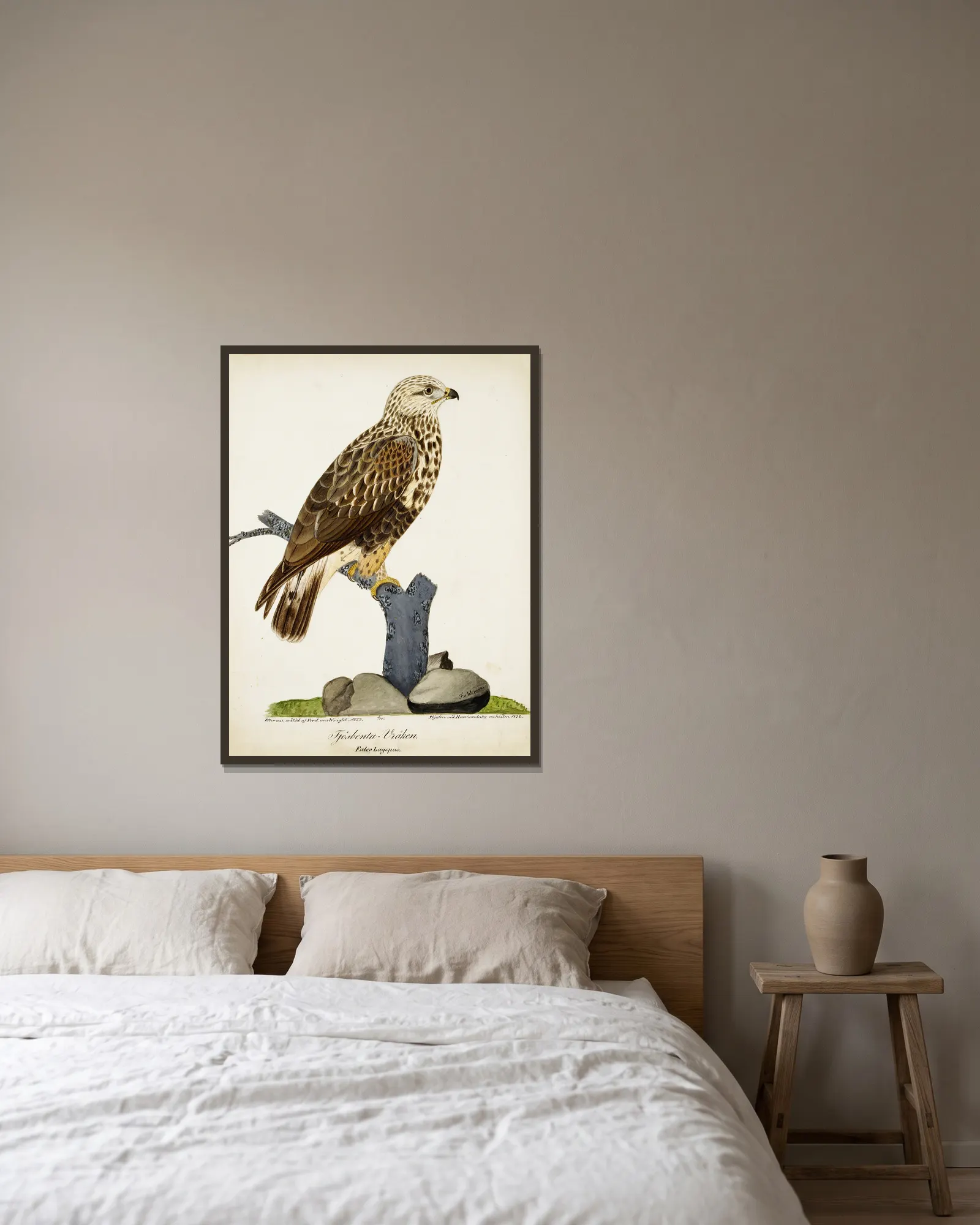 Rough-Legged Buzzard av Ferdinand von Wright inramad på en vägg