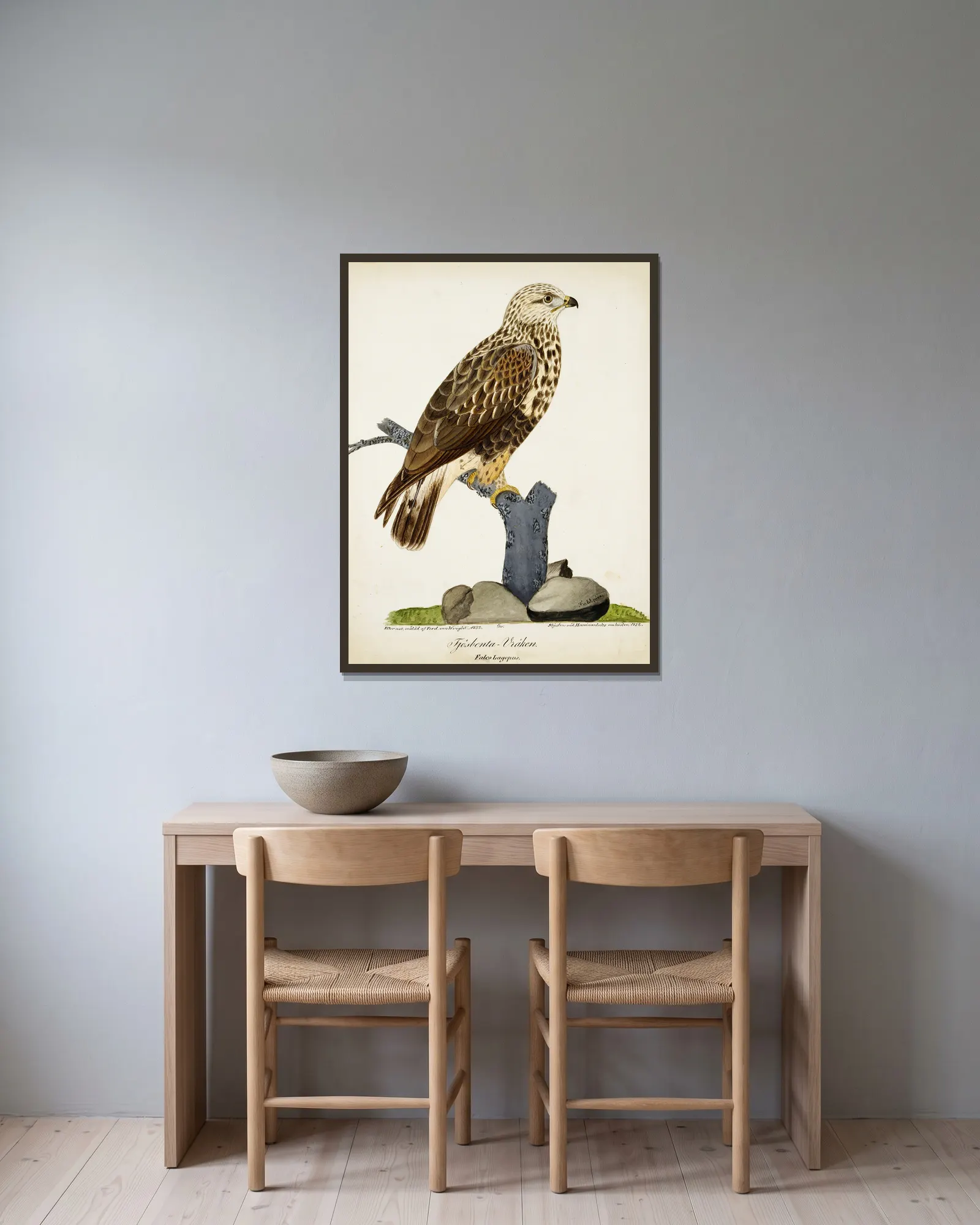 Rough-Legged Buzzard av Ferdinand von Wright inramad på en vägg