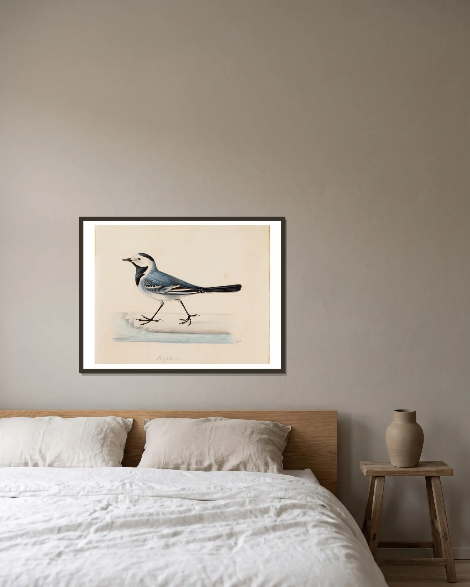 White Wagtail av Ferdinand von Wright inramad på en vägg