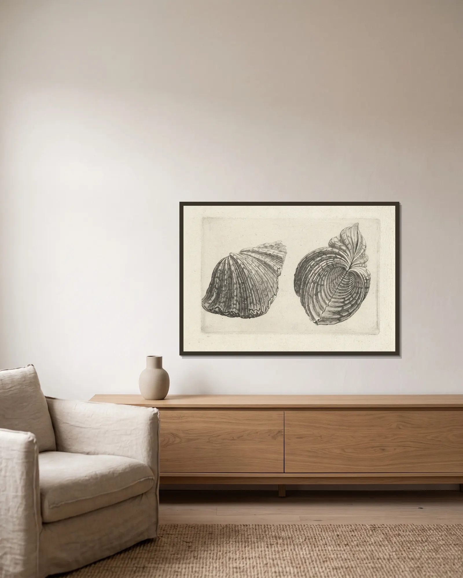 Bear paw clam (Hippopus maculatus) av Wenceslaus Hollar inramad på en vägg