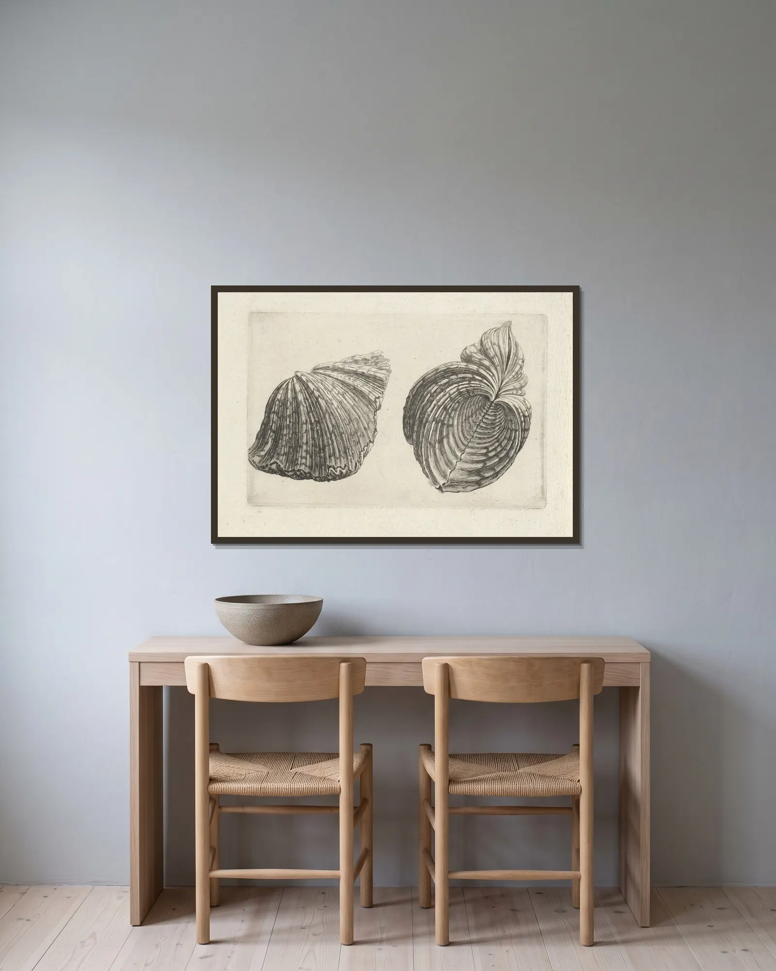 Bear paw clam (Hippopus maculatus) av Wenceslaus Hollar inramad på en vägg