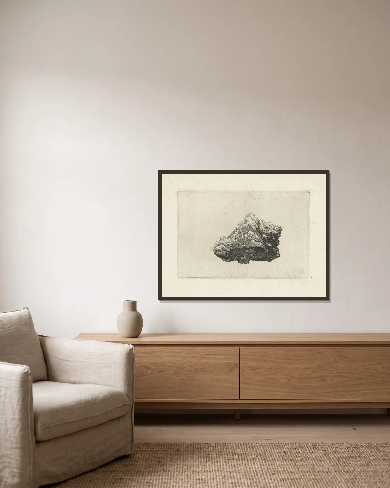 Caribbean vase (Vasum muricatum) av Wenceslaus Hollar inramad på en vägg