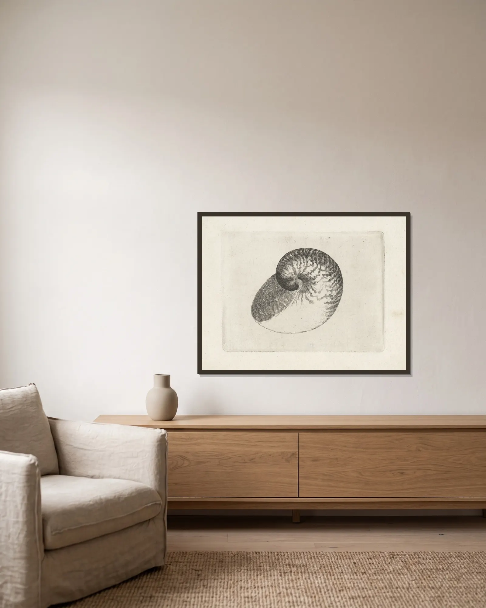 Chambered nautilus (Nautilus pompilius) av Wenceslaus Hollar inramad på en vägg