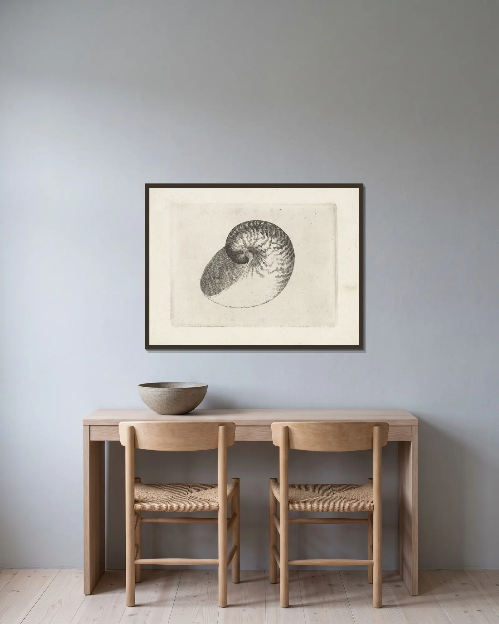 Chambered nautilus (Nautilus pompilius) av Wenceslaus Hollar inramad på en vägg