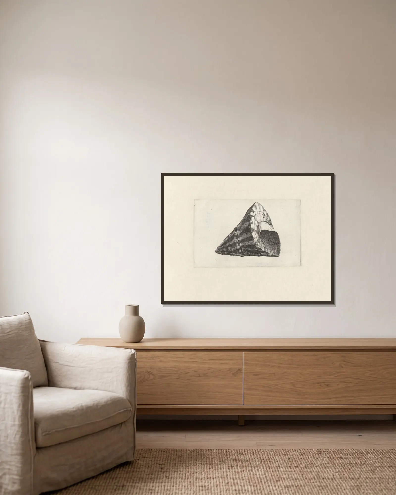 Commercial top-shell (Trochus niloticus) av Wenceslaus Hollar inramad på en vägg