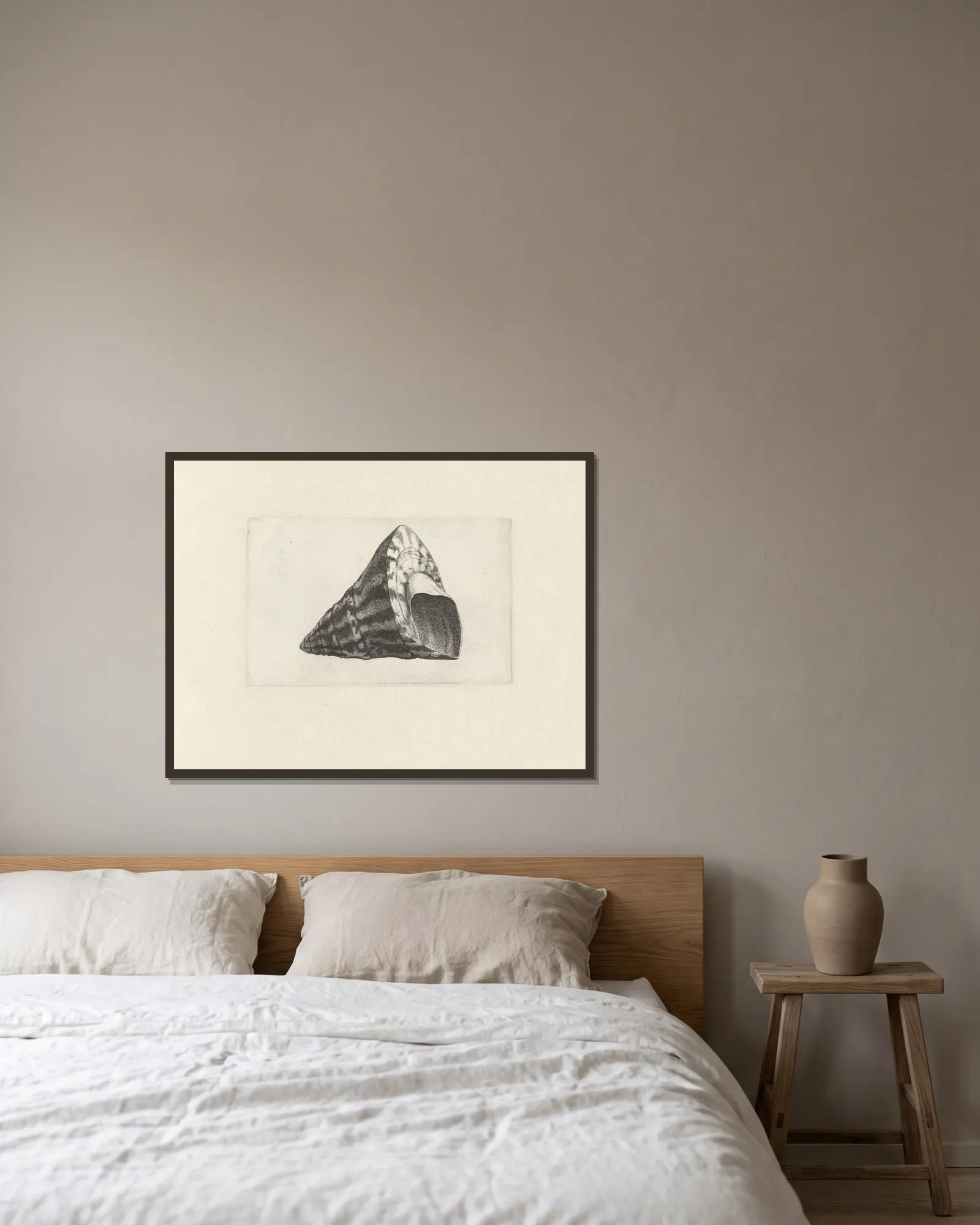 Commercial top-shell (Trochus niloticus) av Wenceslaus Hollar inramad på en vägg